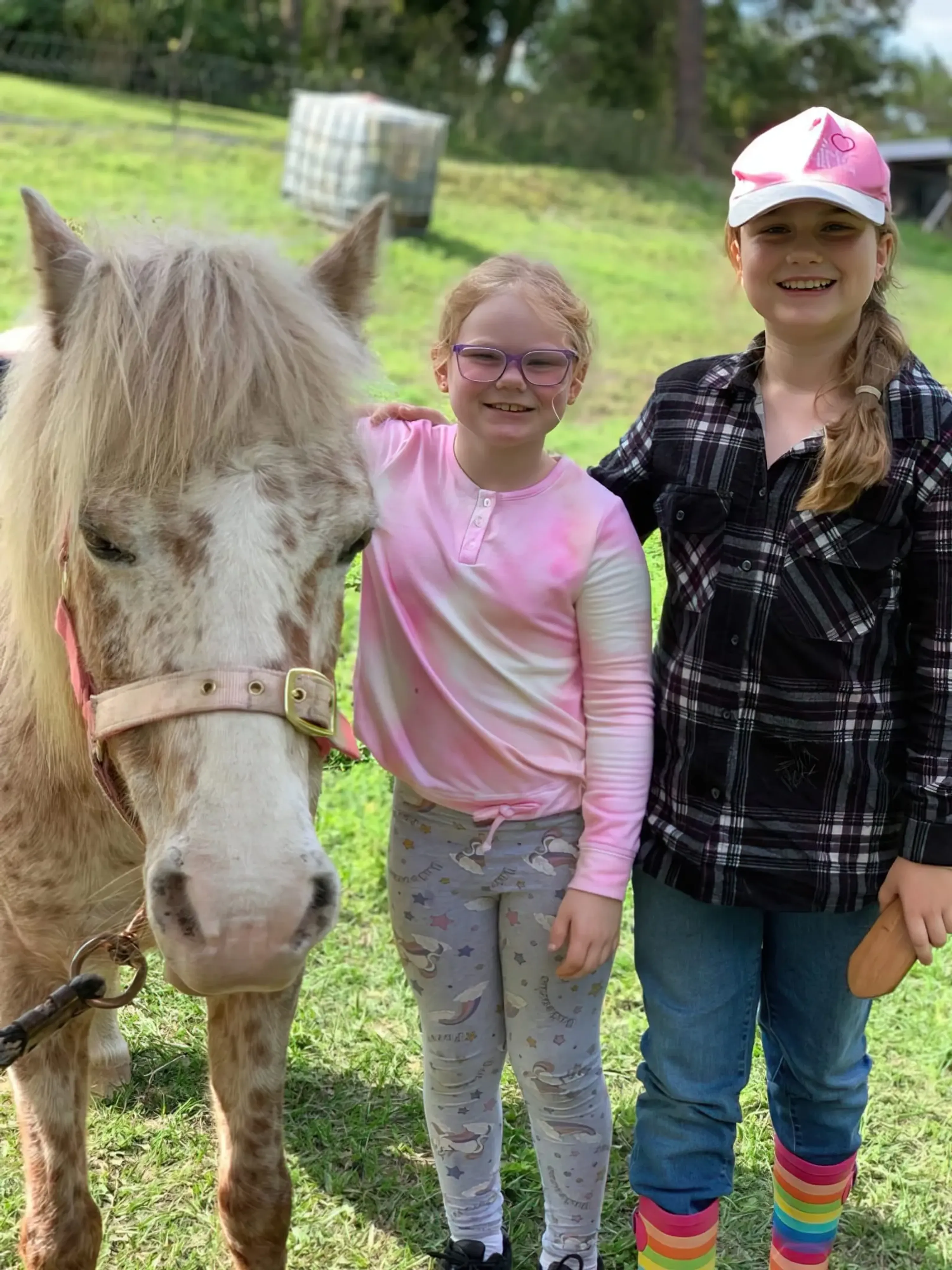 Equine Connect