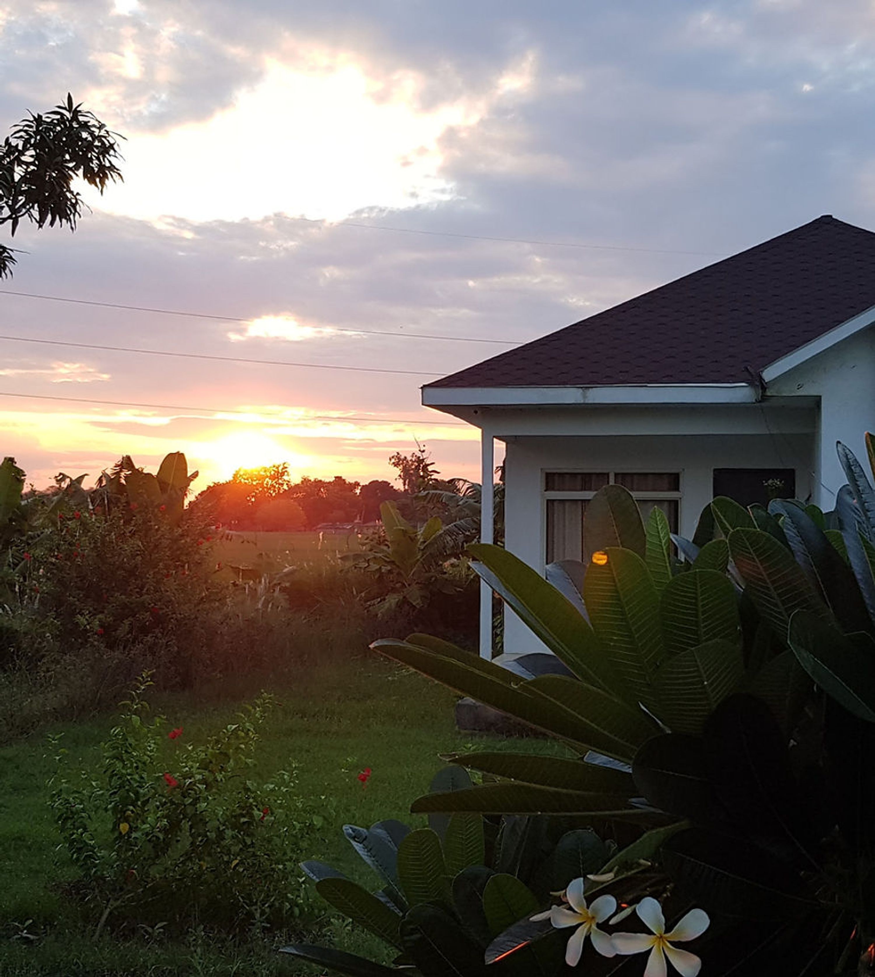 Living Green Farms