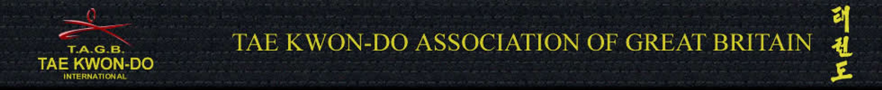 Amesbury Tae Kwon Do (TAGB)