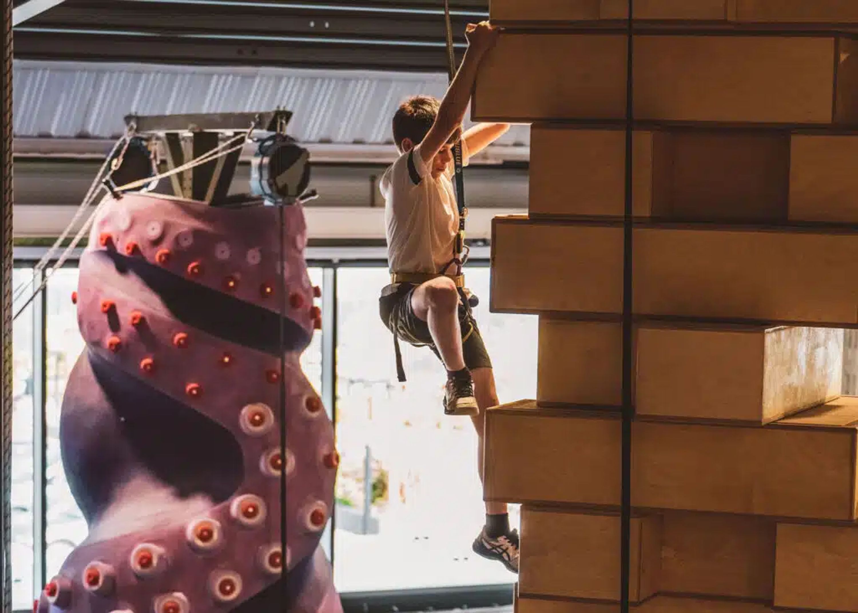 Crazy Climb Party