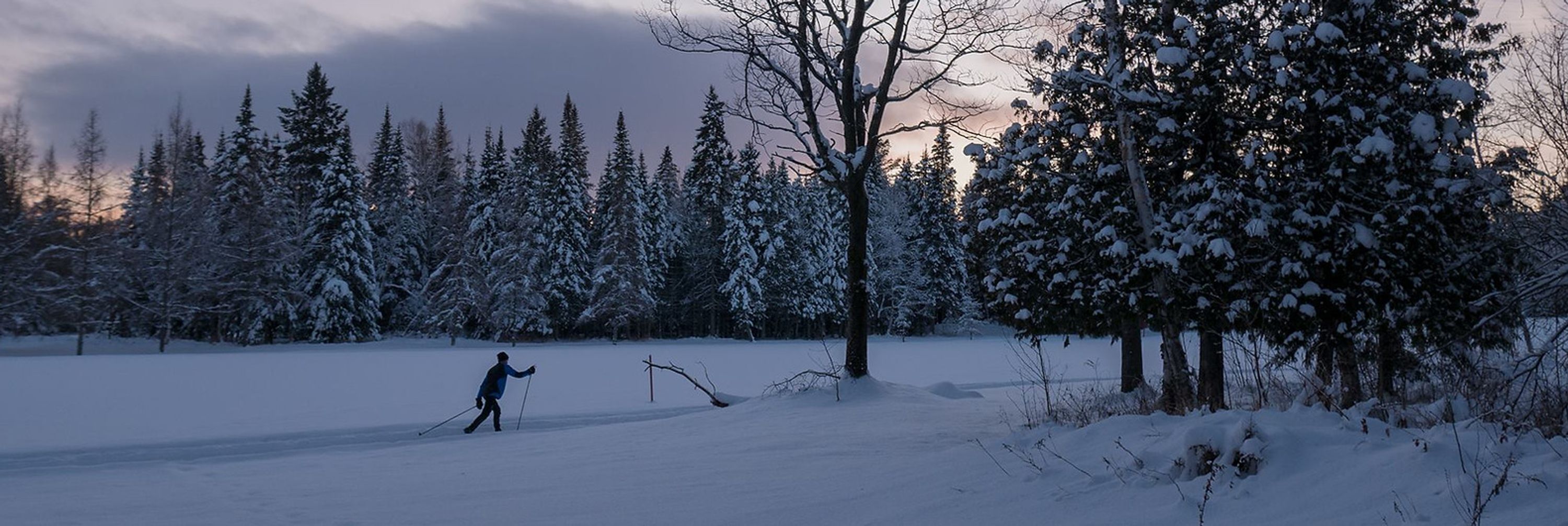 Club De Ski De Fond De Thetford