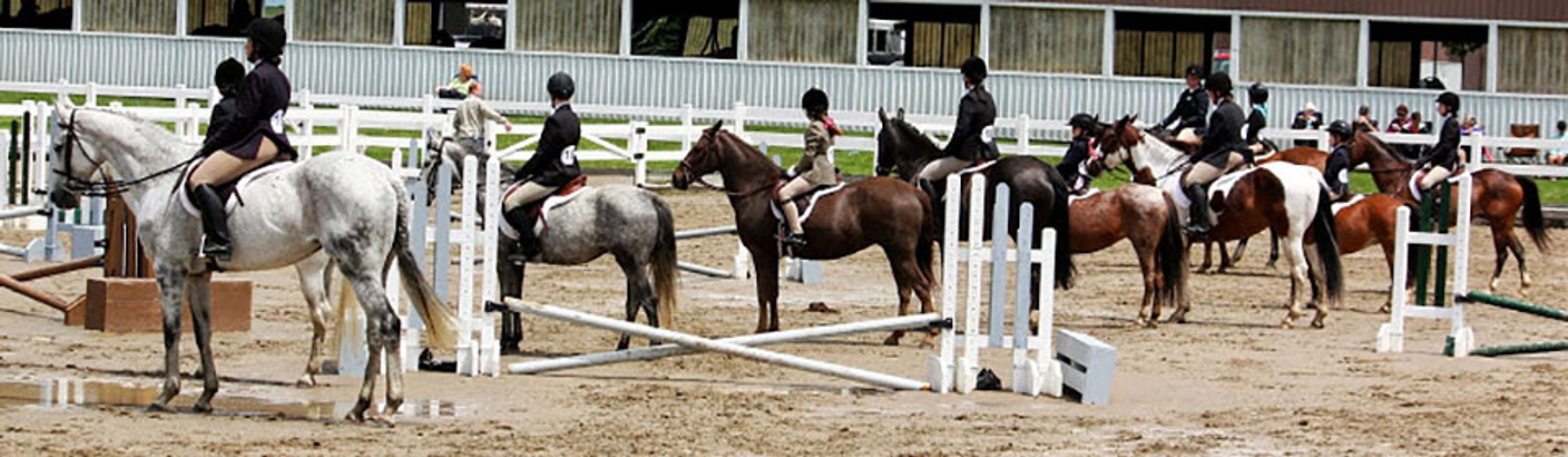 Earthbound Stable