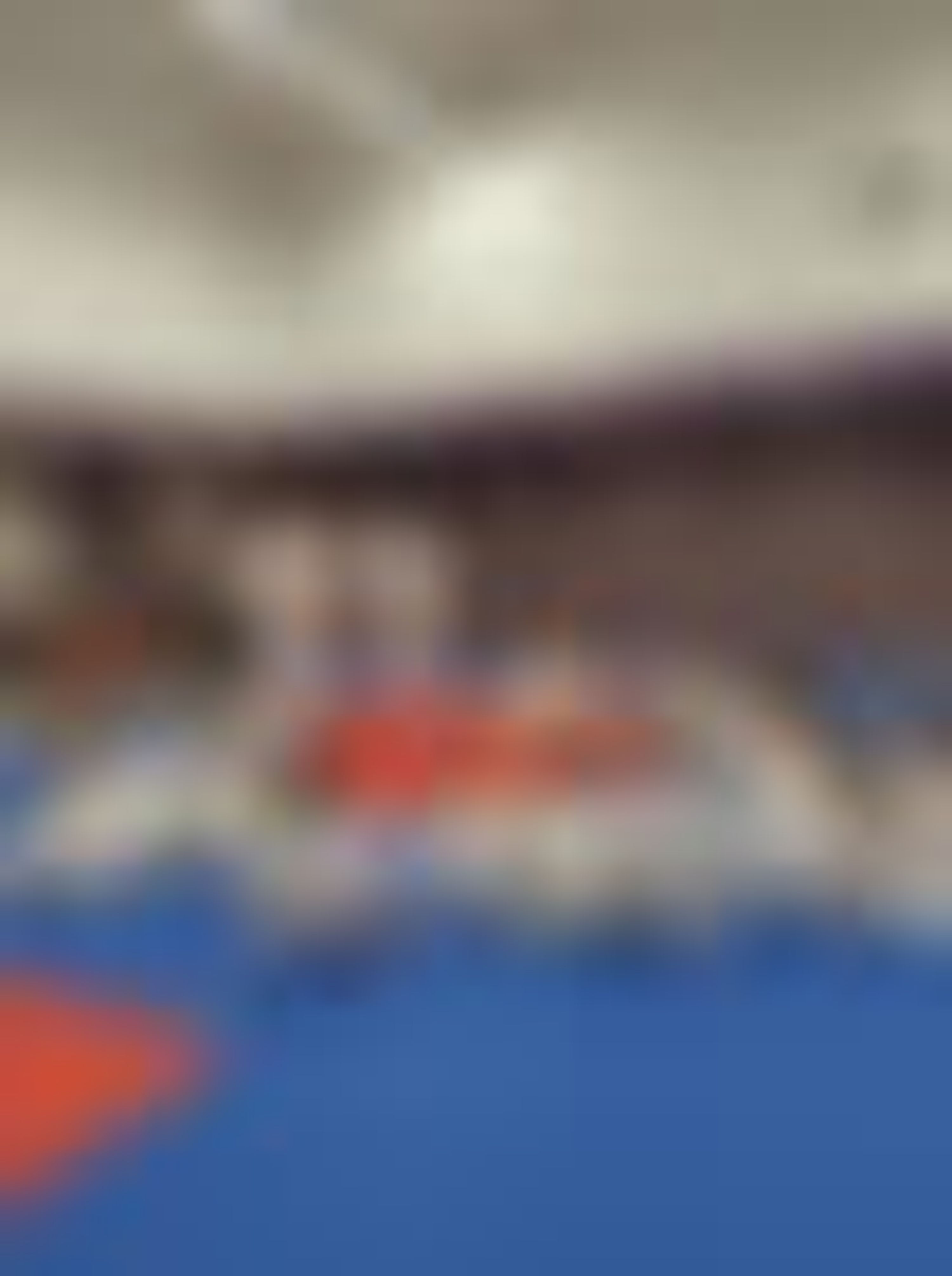 DRV-Judo Club Peaugres Félines