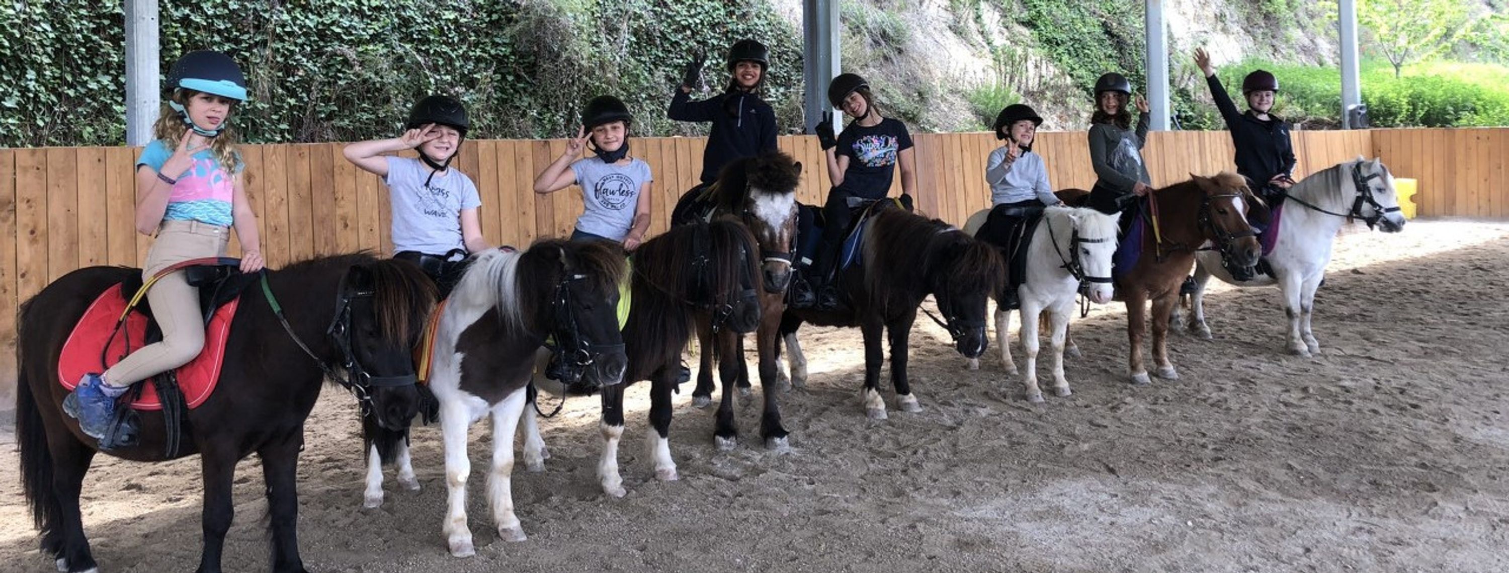 Sun Equitation