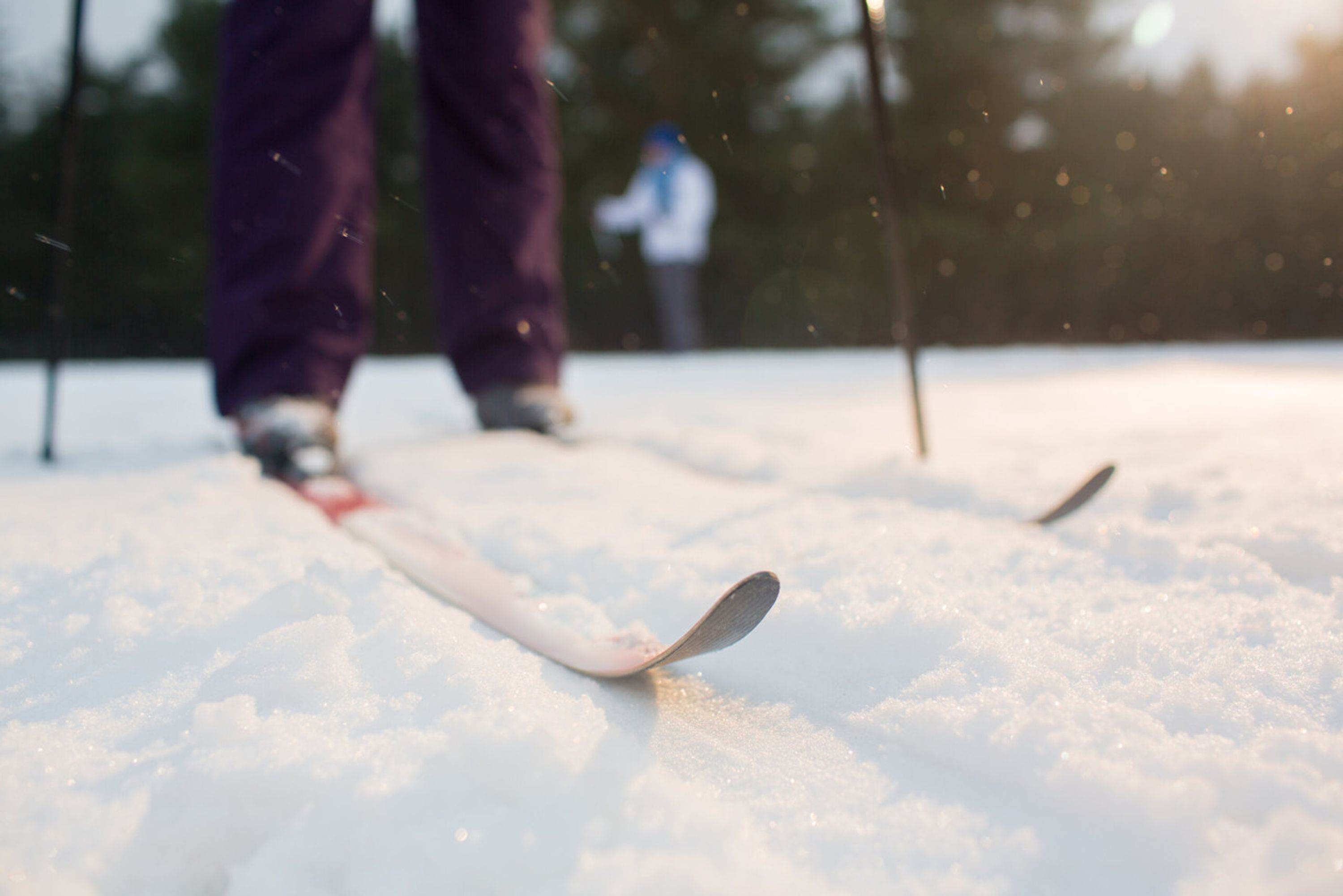 Biathlon de Denholm