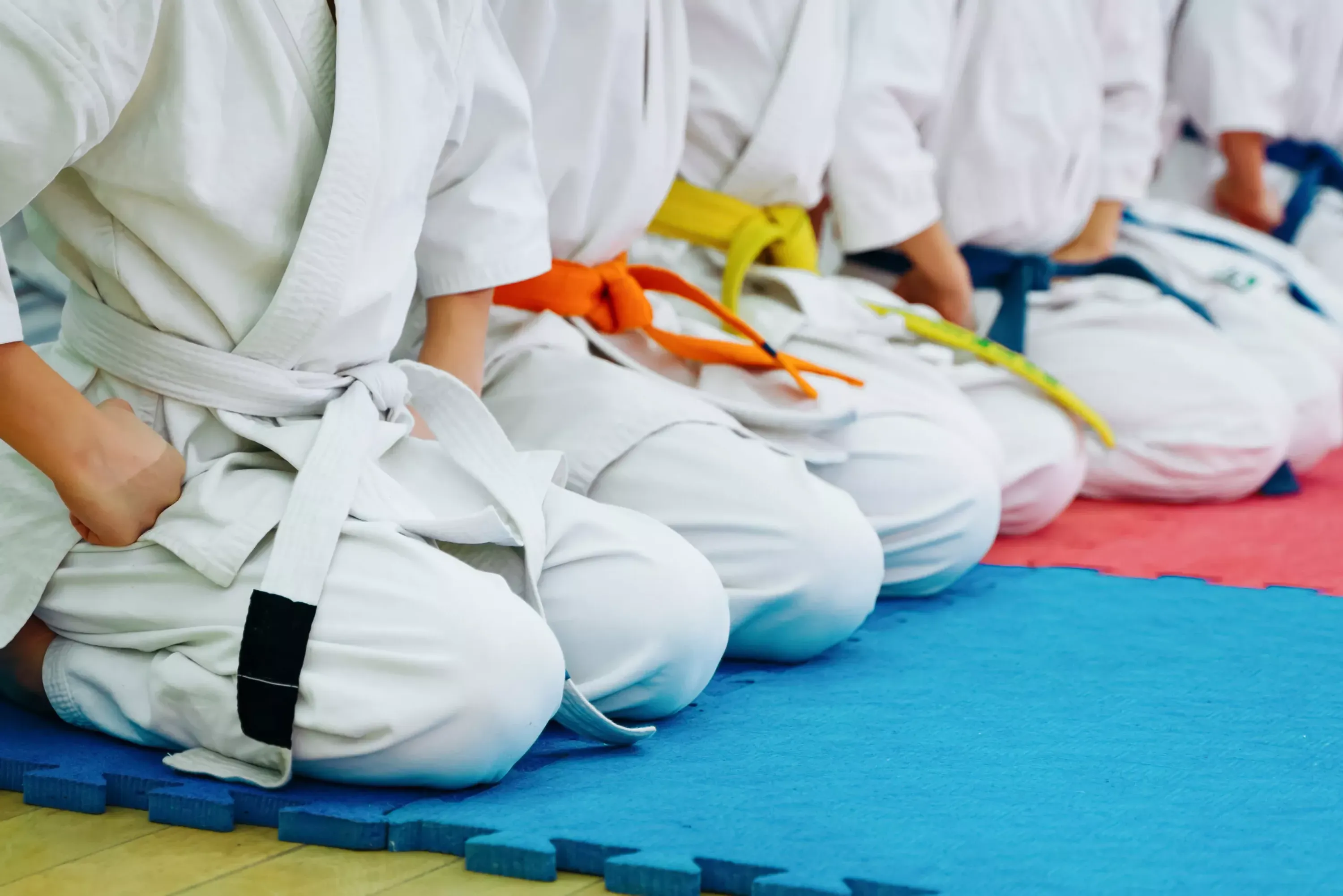 Judo Club Agenais