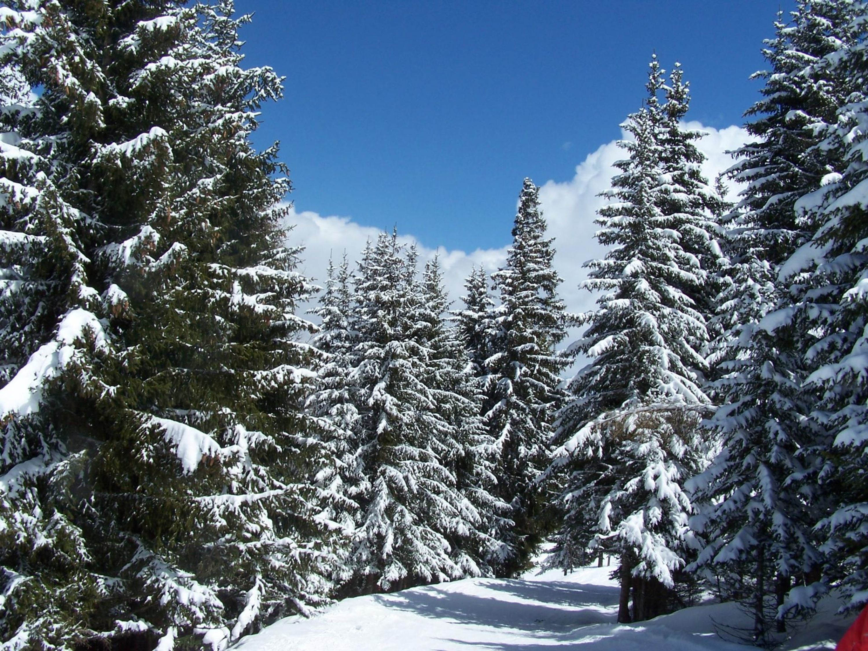 les Coches/location appartement 6 pers/Savoie/La Plagne