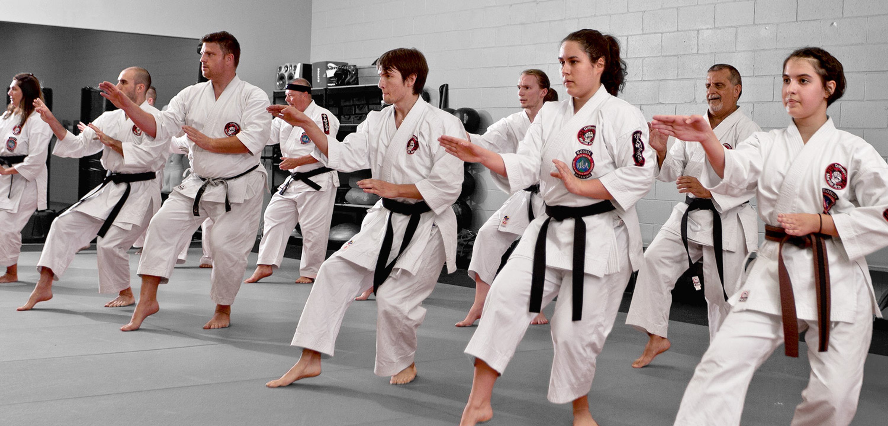 Driftwood Martial Arts Inc.