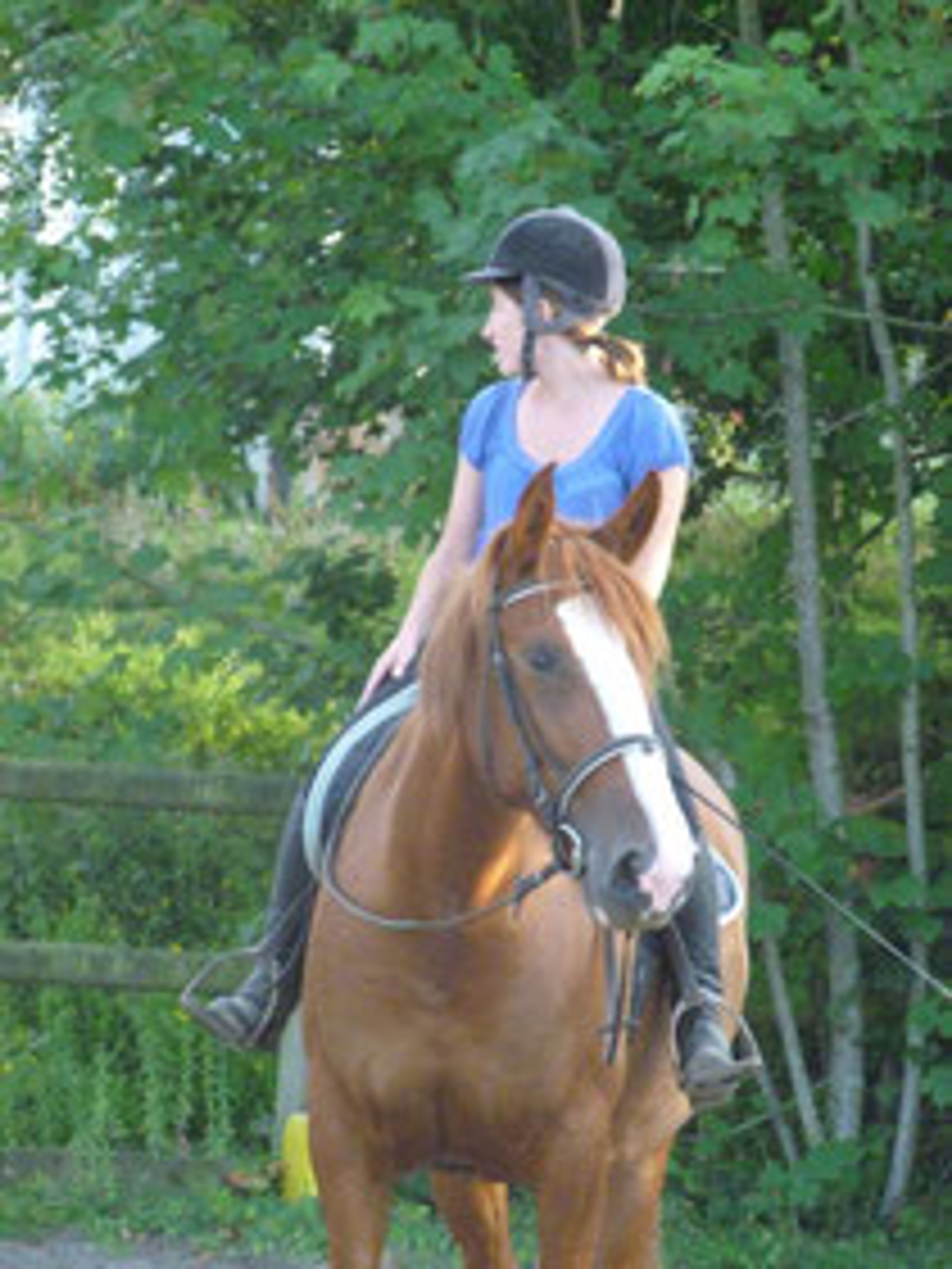Equestrian Center Pony Club De Saint Palais