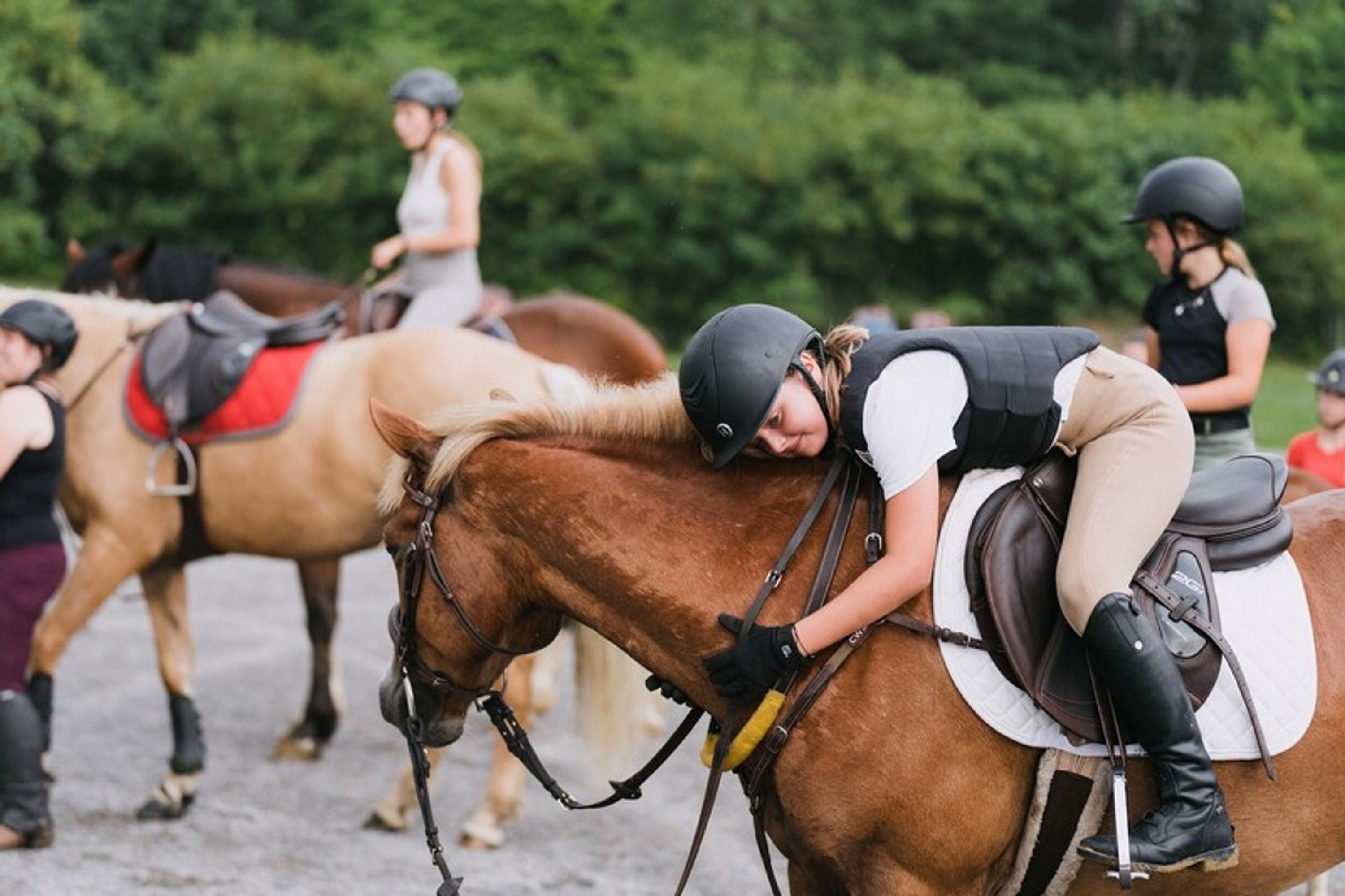 Poneys et plus de Poneys