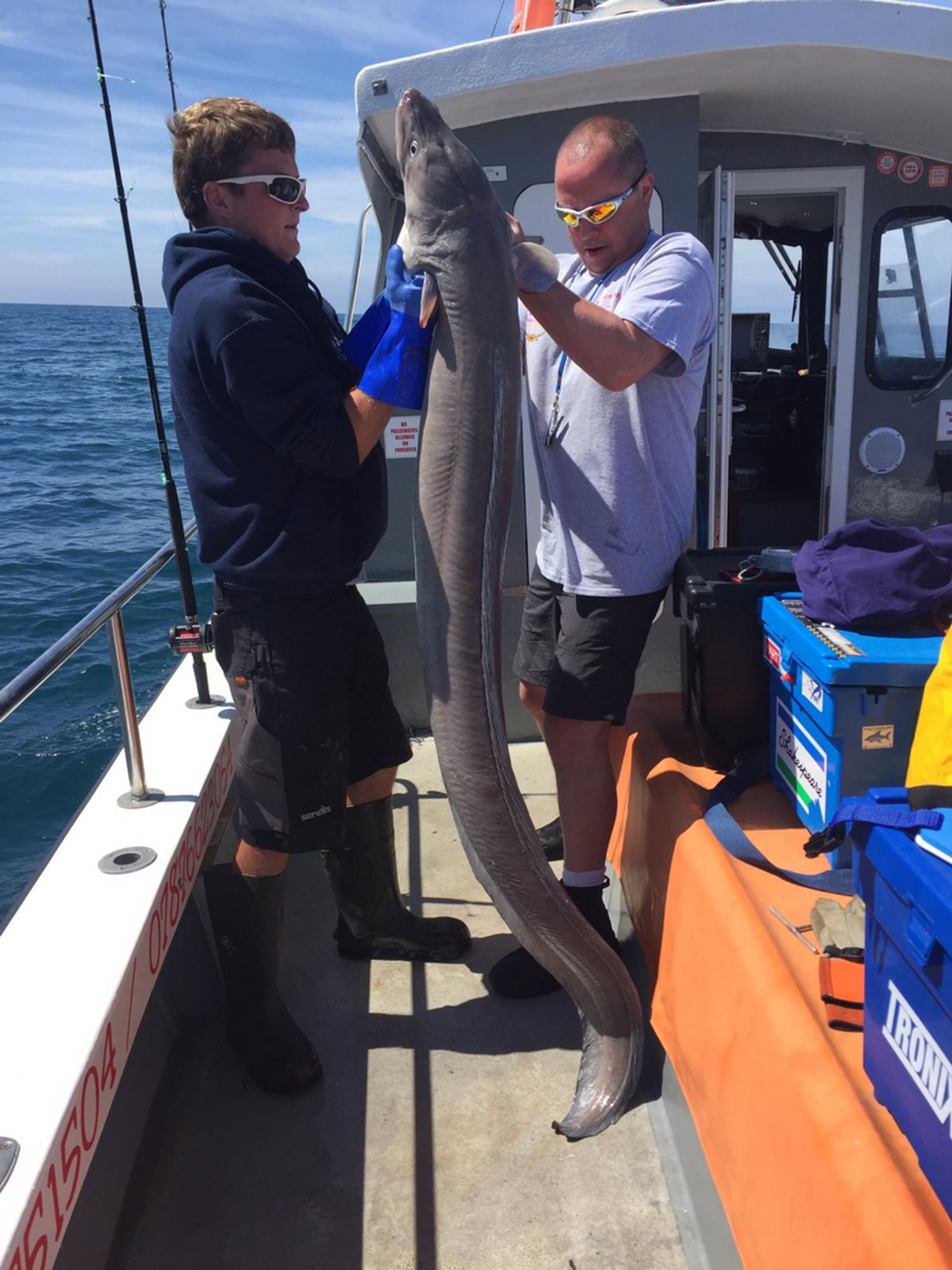Our Joe - L Charters & UK Fishing Holidays