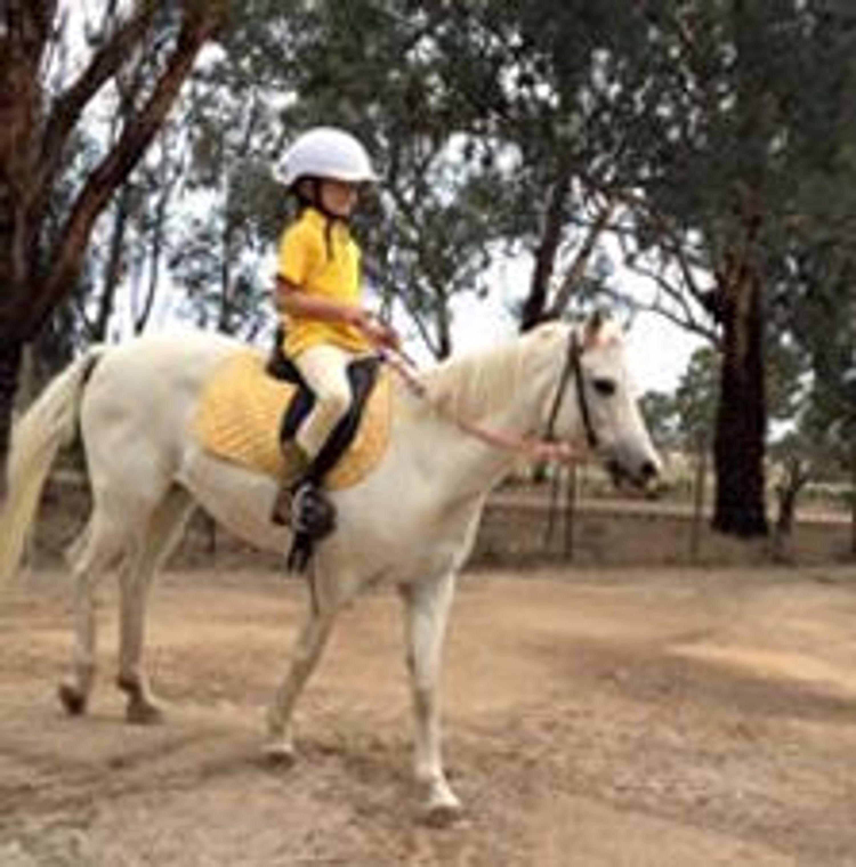 Bits & Boots Pony Rides