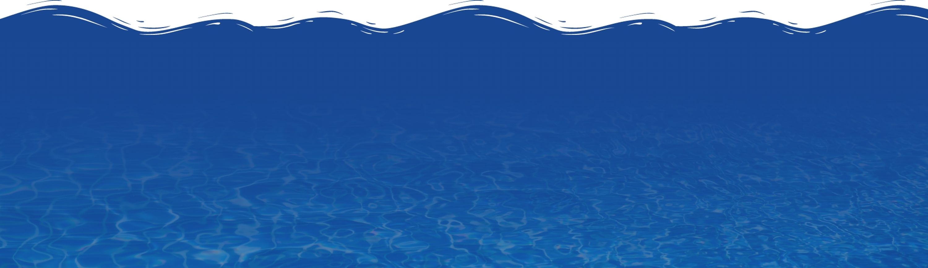 The Aqua Life Swim Academy