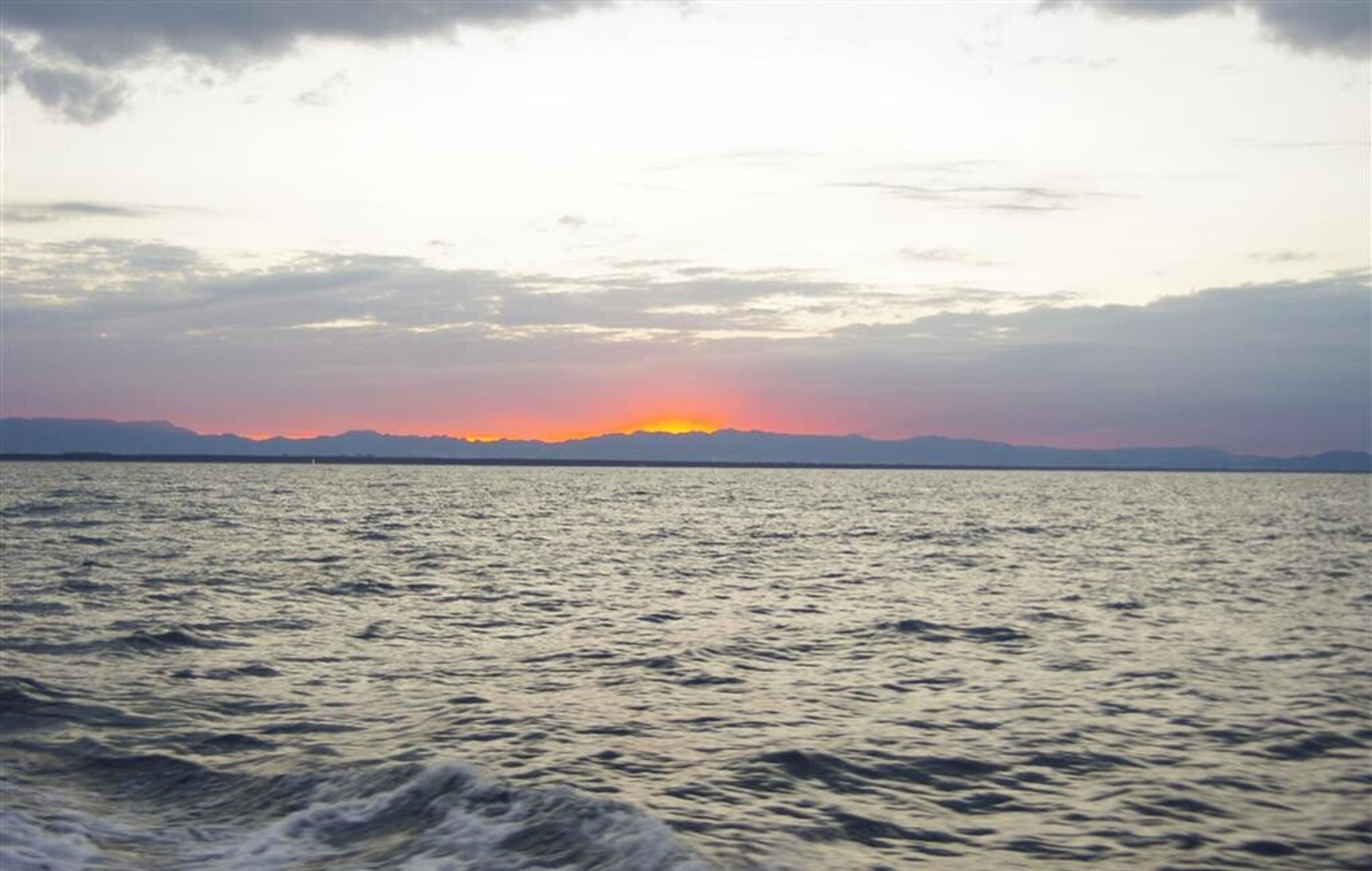 Tauranga Marine Charters