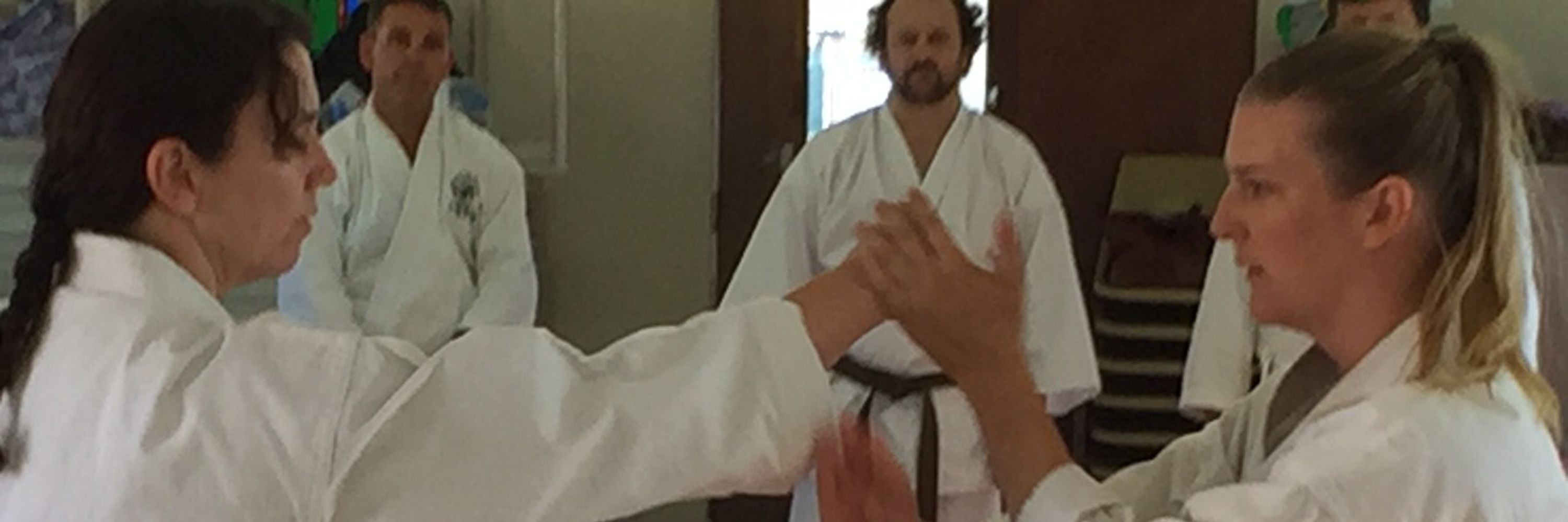 Yamaguchi Goju kai Karate QLD - Wooloowin