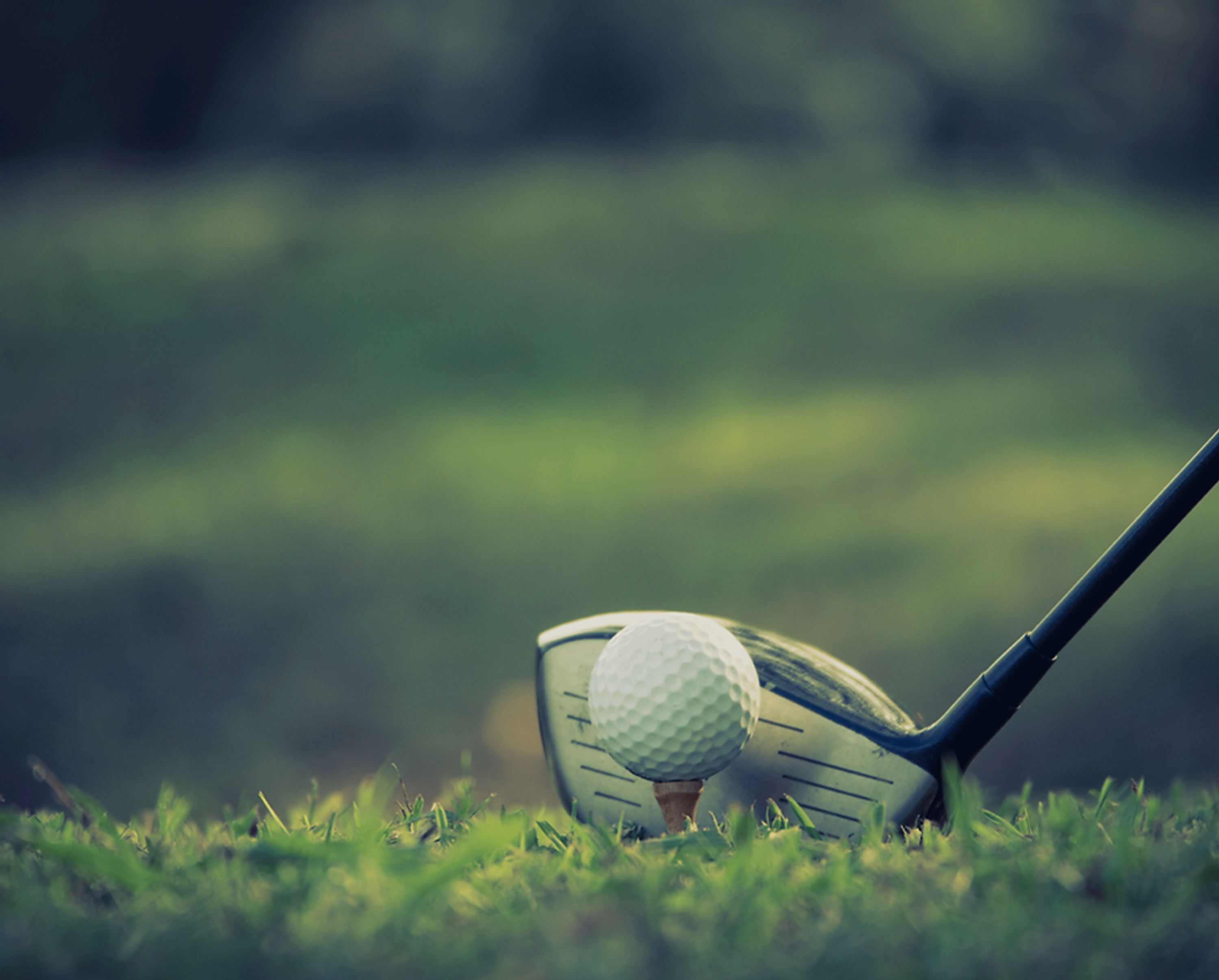 MVM Indoor Golf Facility