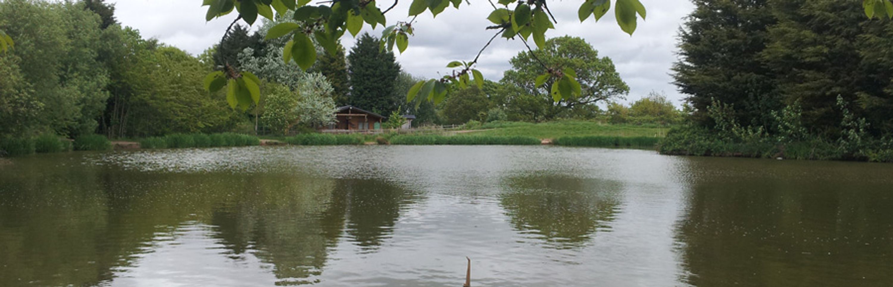 Grove Fisheries