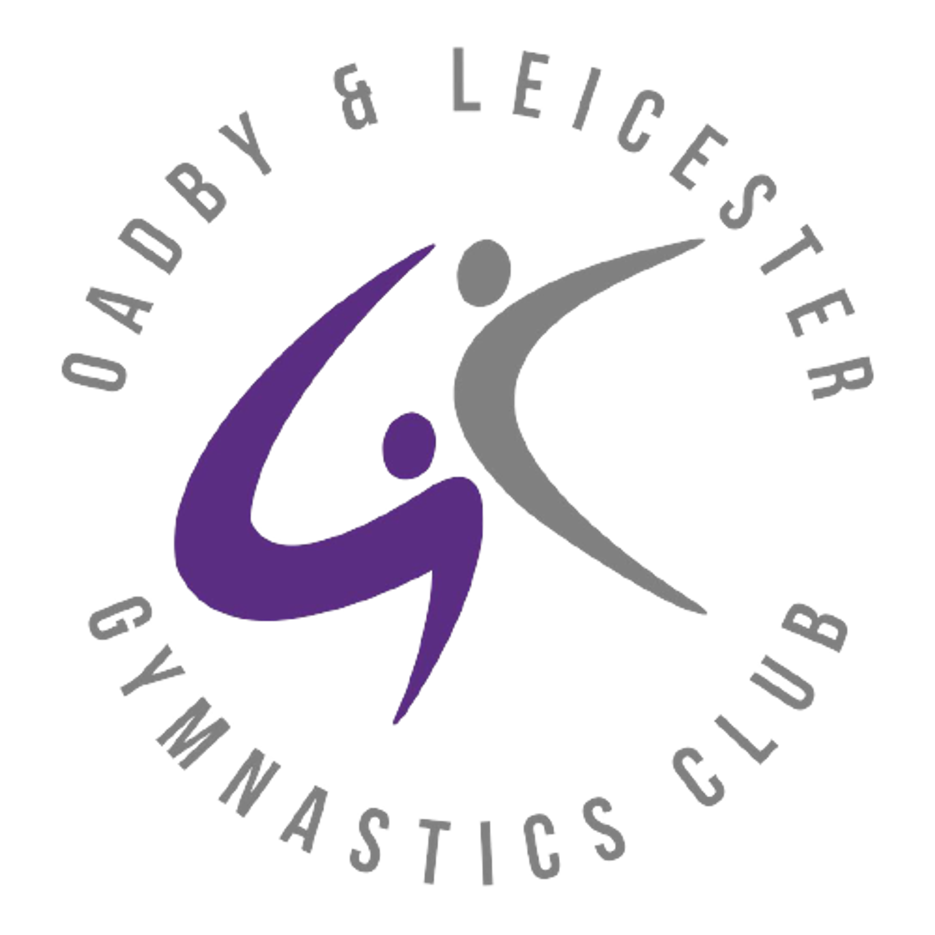 ADULT GYMNASTICS