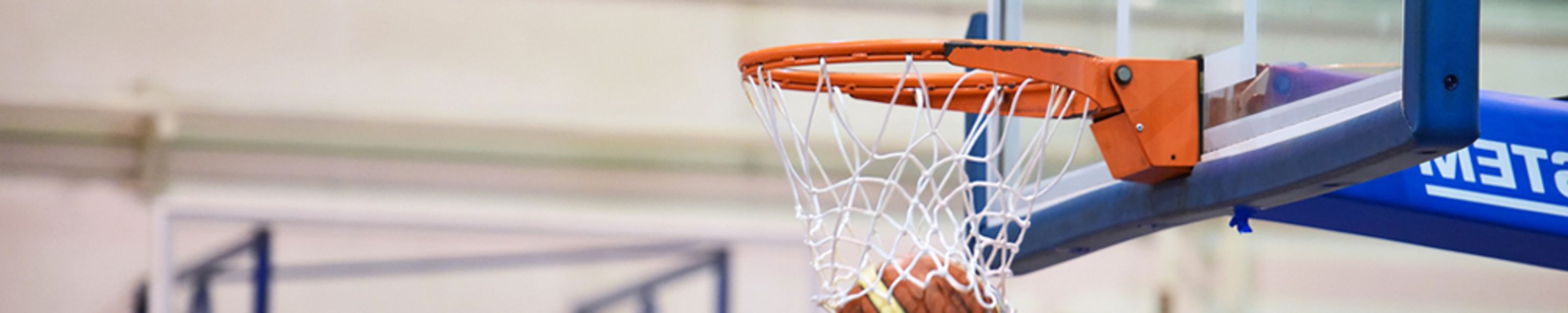 Leroy-Somer Champniers Basket