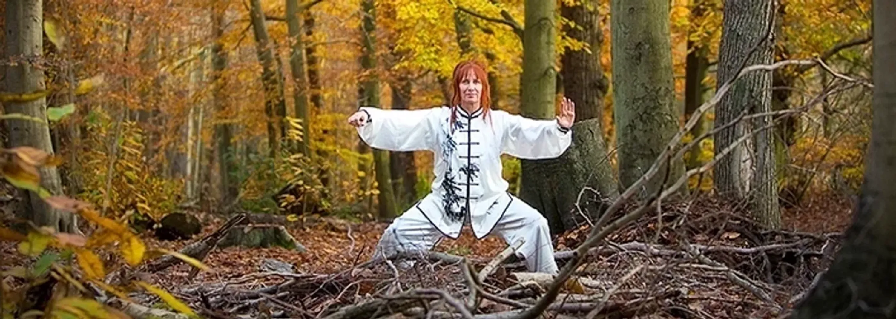 Beginner Tai Chi Classes