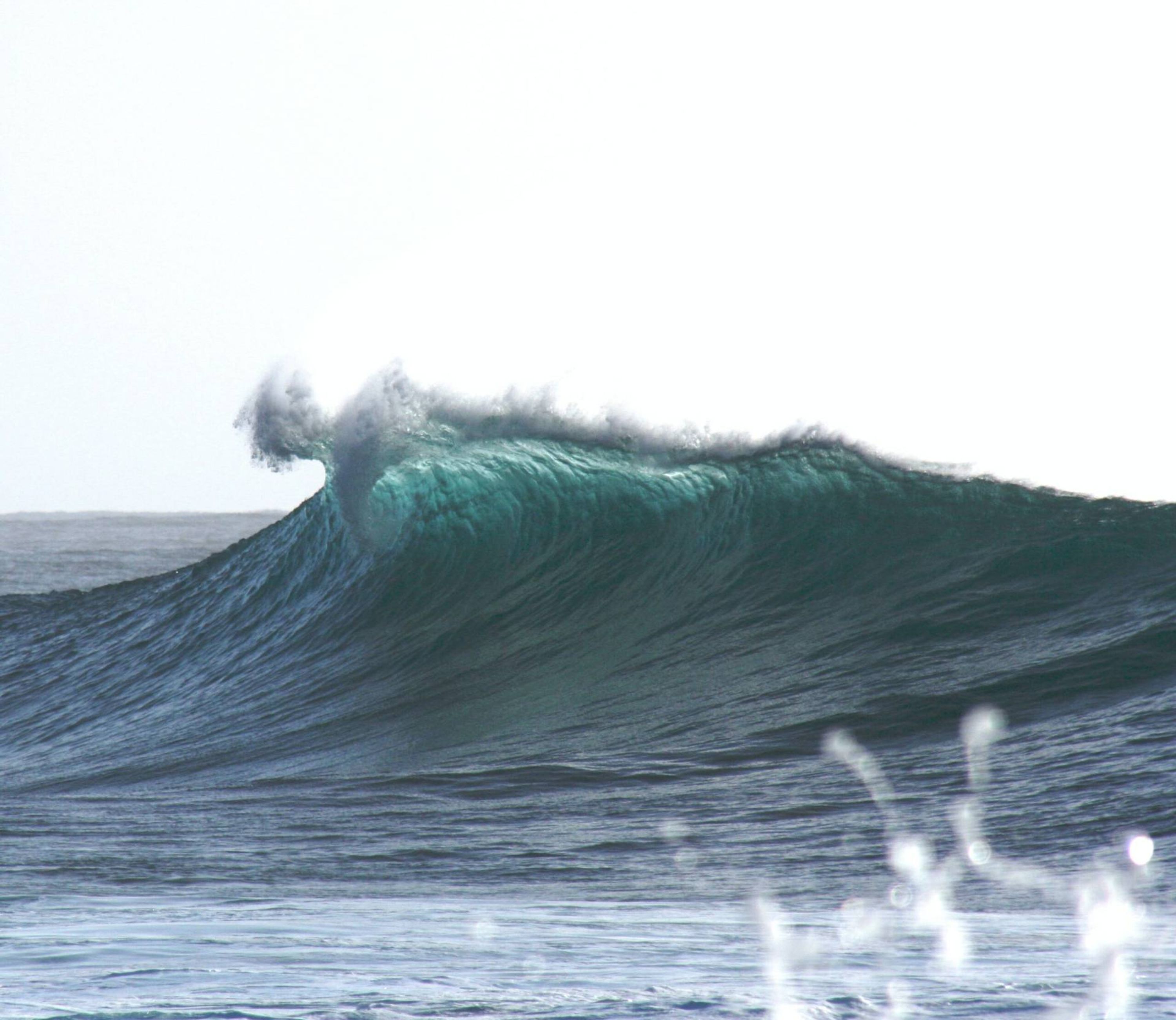 Wishbone Surf Shop