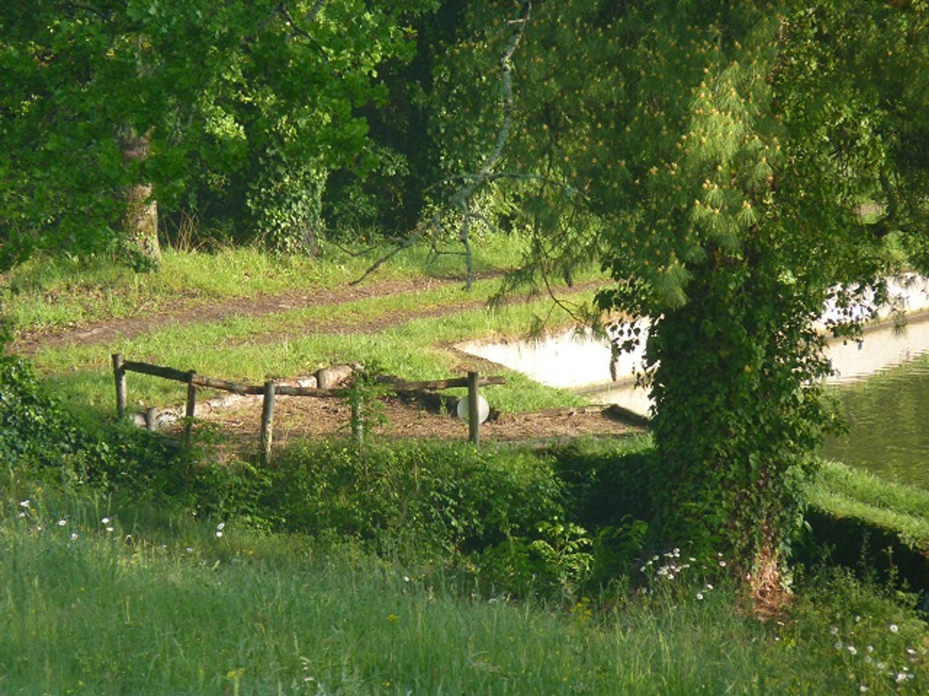Puyravaud France carp fishing lakes