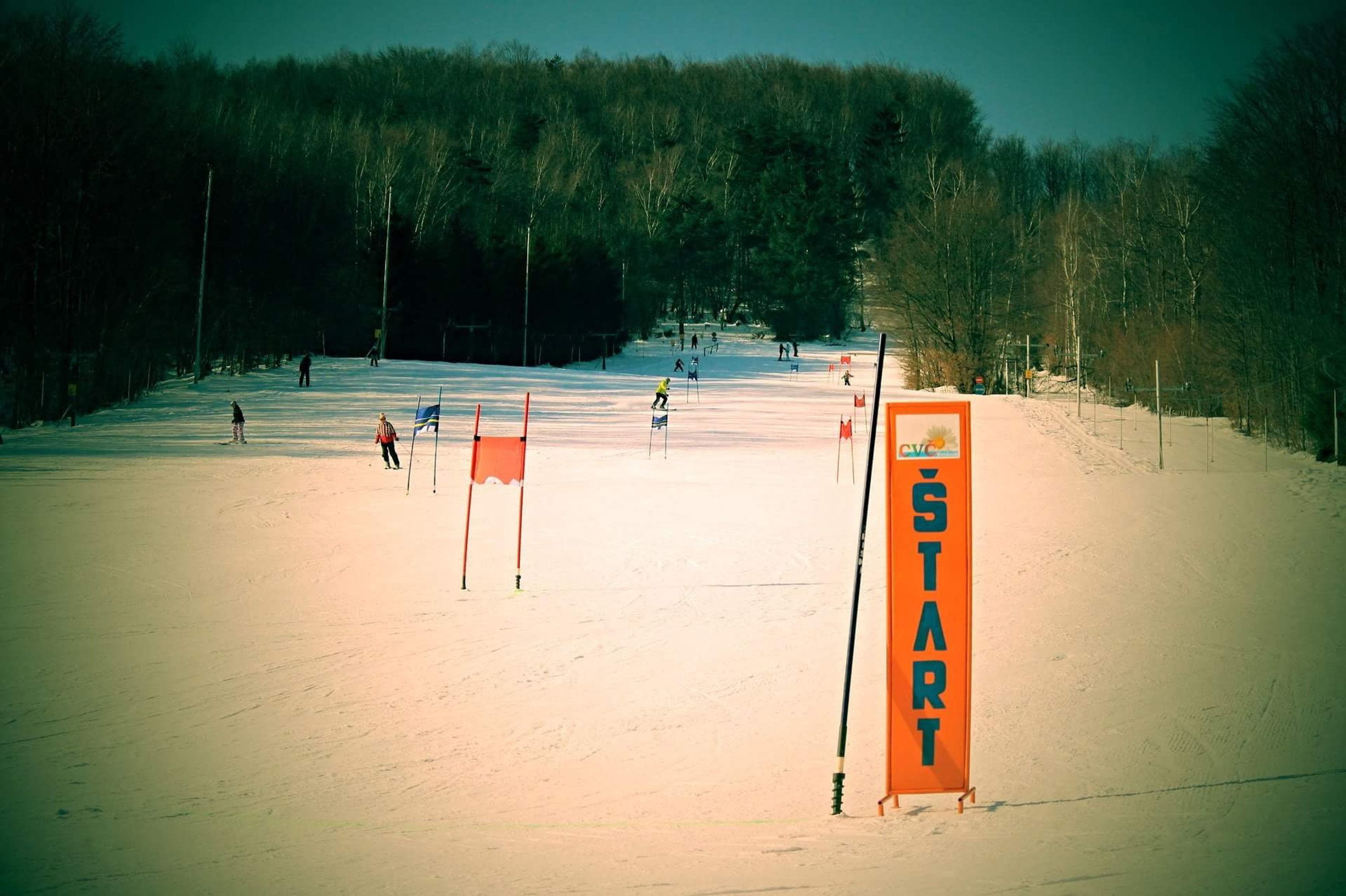 Ski Medvedie