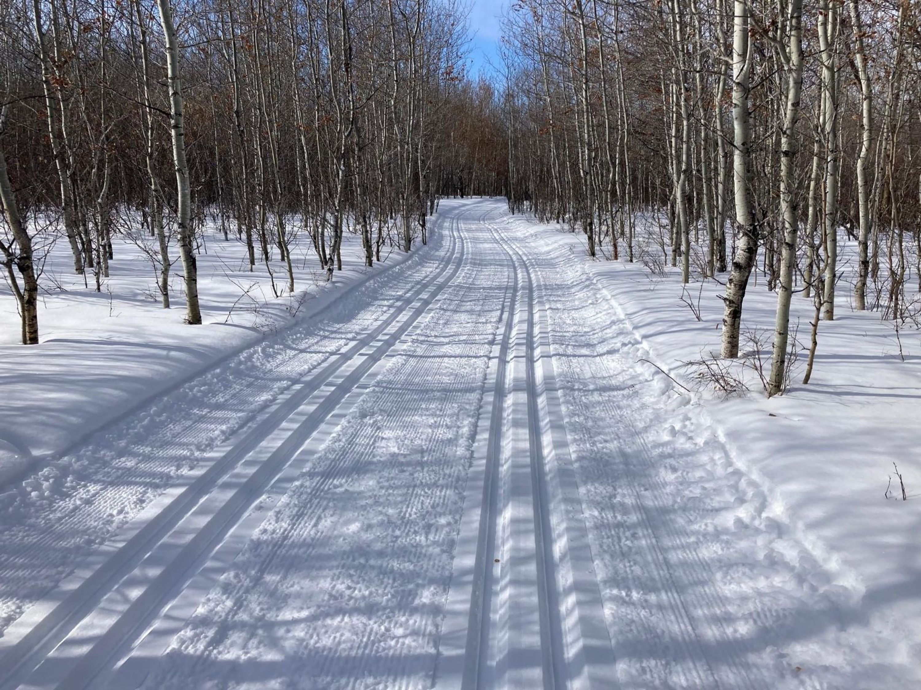 Lloydminster Cross Country Ski Club