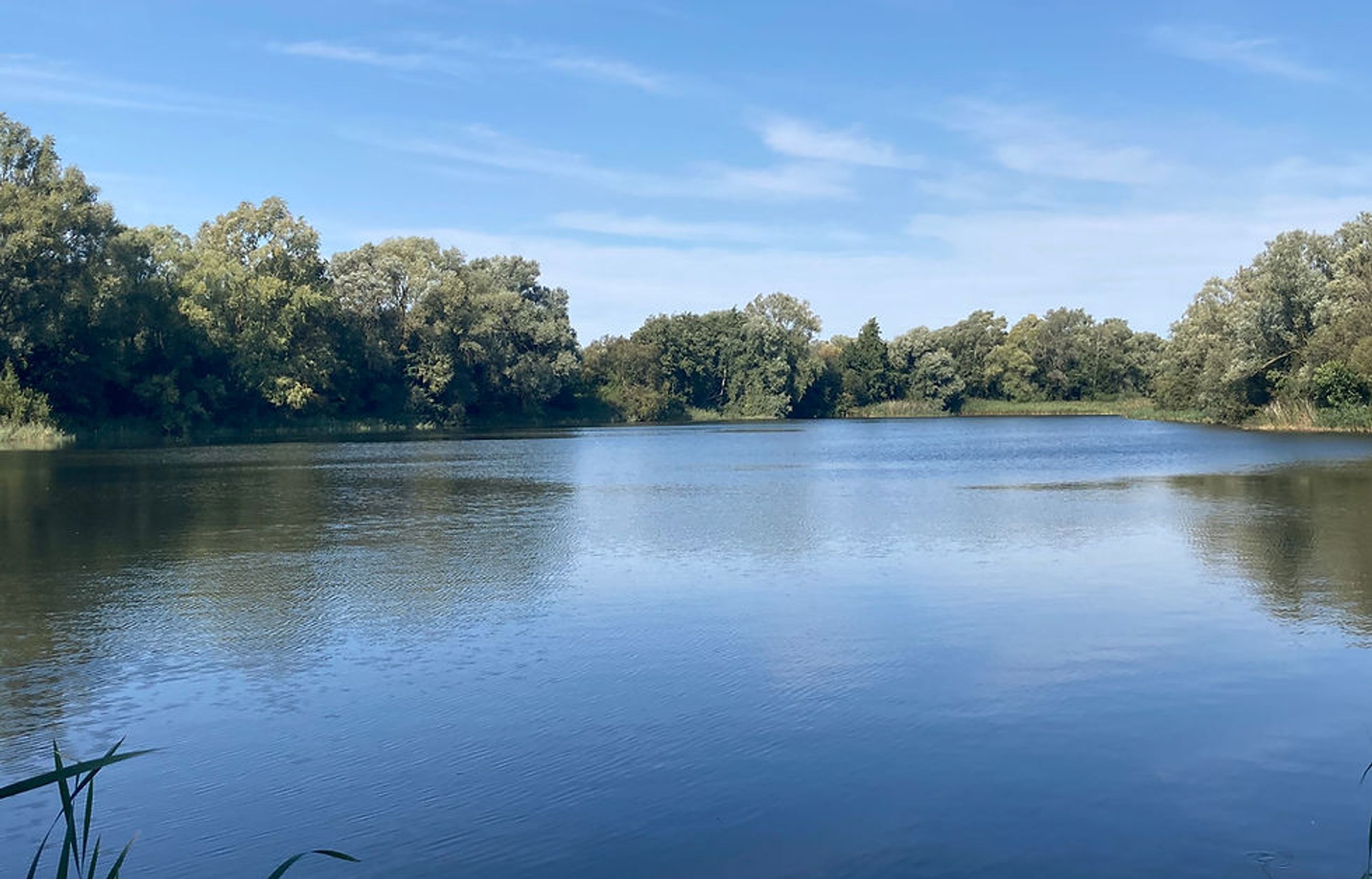 Woolpack Fishery