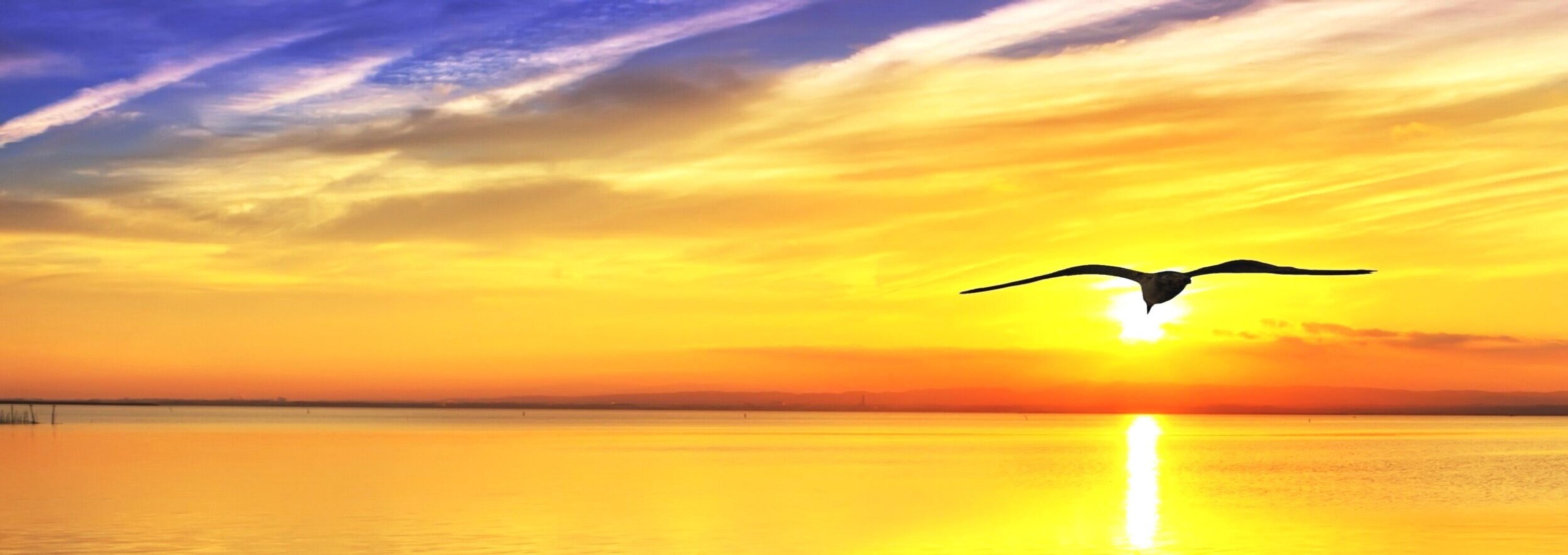 Breathe Into Life - Lift Yourself Up or Settle Yourself Down at Will