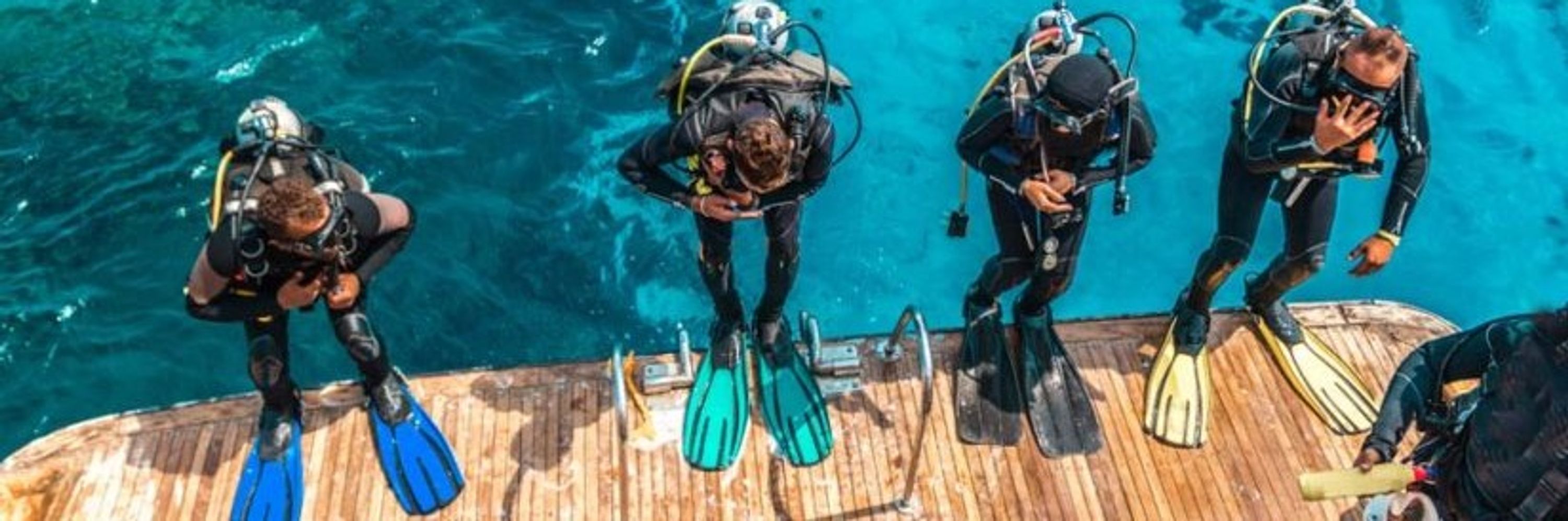 FranzOrg