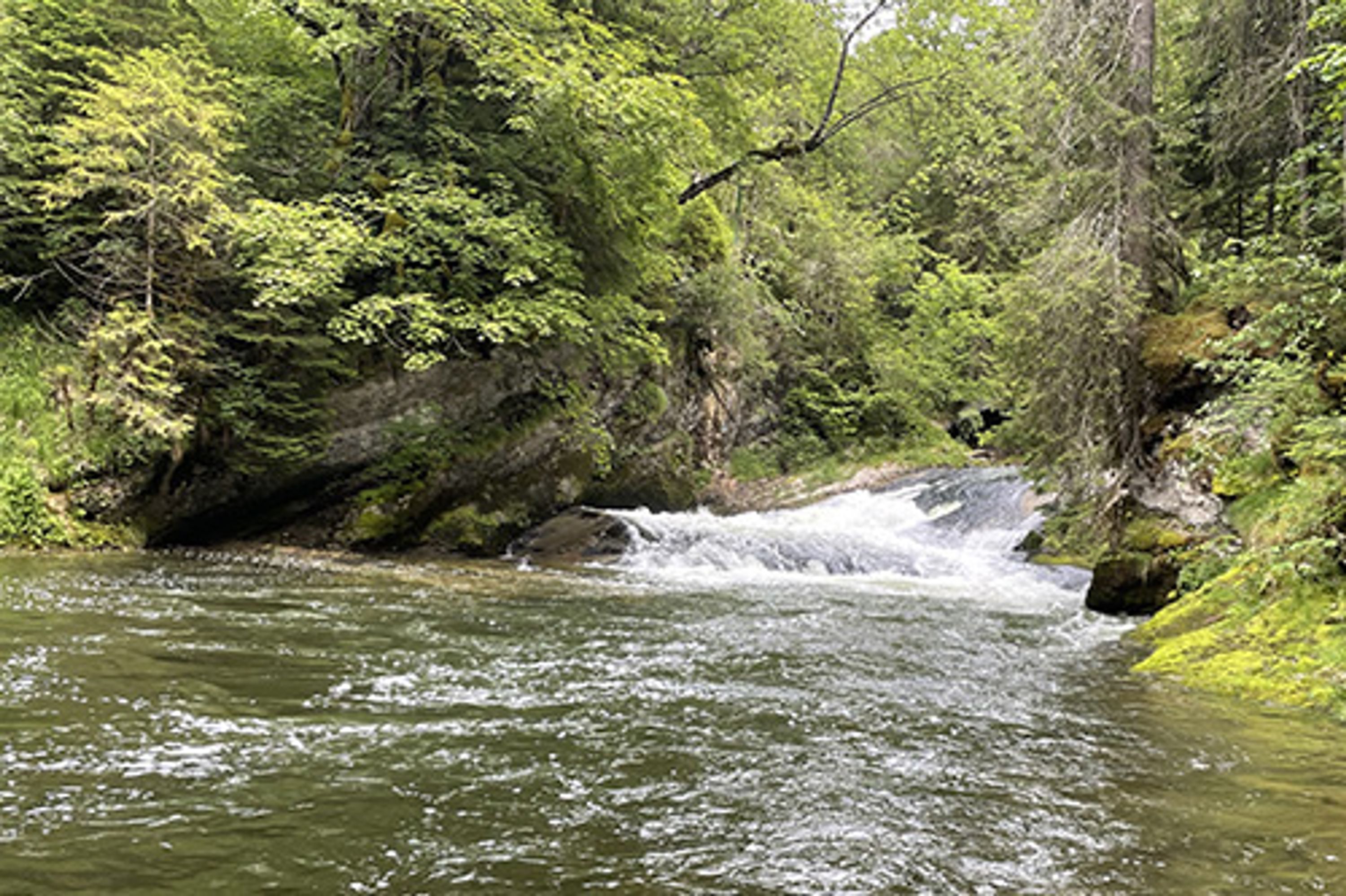 Doubs Jura Pêche