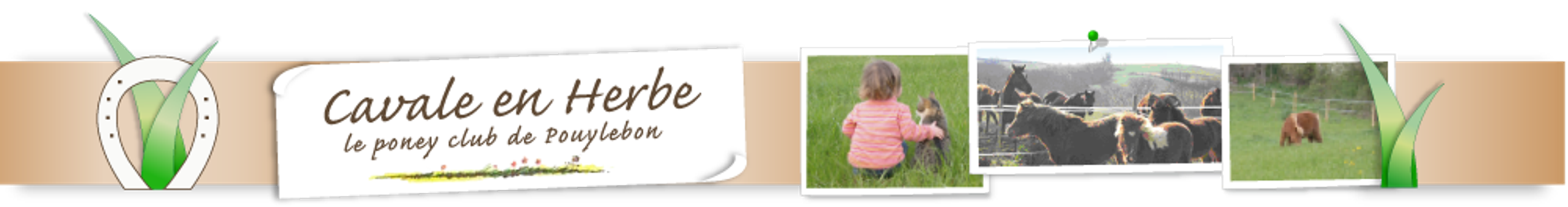 Lam Aspiring Equestrian Center Pony Club Mirande Marciac Gers