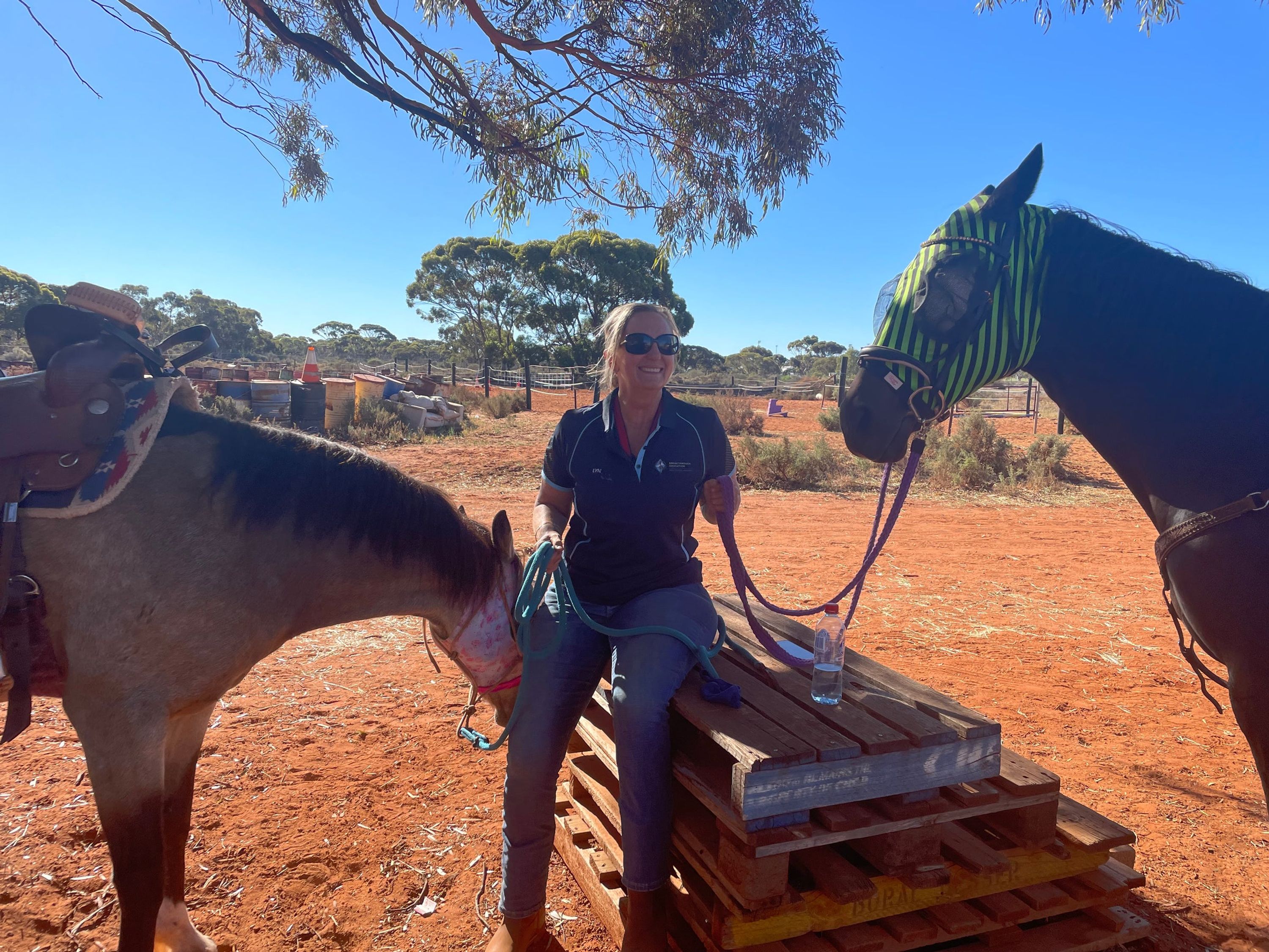 Breakthrough Education and Equine Academy