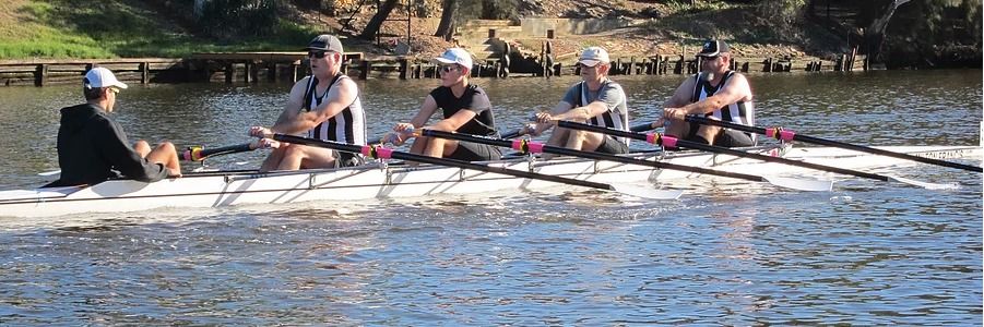 Weekday Adult Learn to Row (WALTR) Course Weekday Adult Learn to Row (WALTR) Course