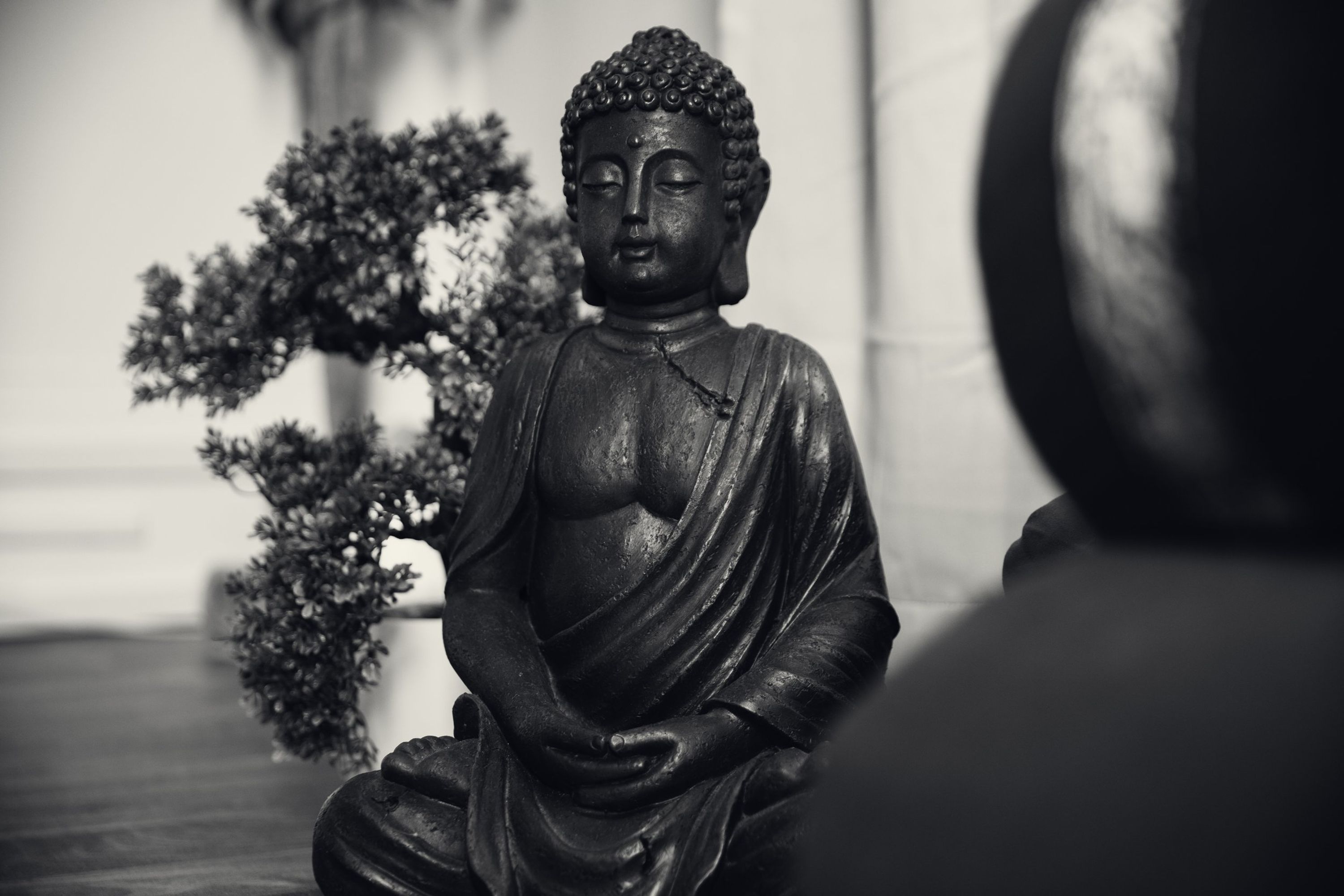 OCTOBER 2024 RETREAT SEASIDE YOGA MEDITATION RETREAT