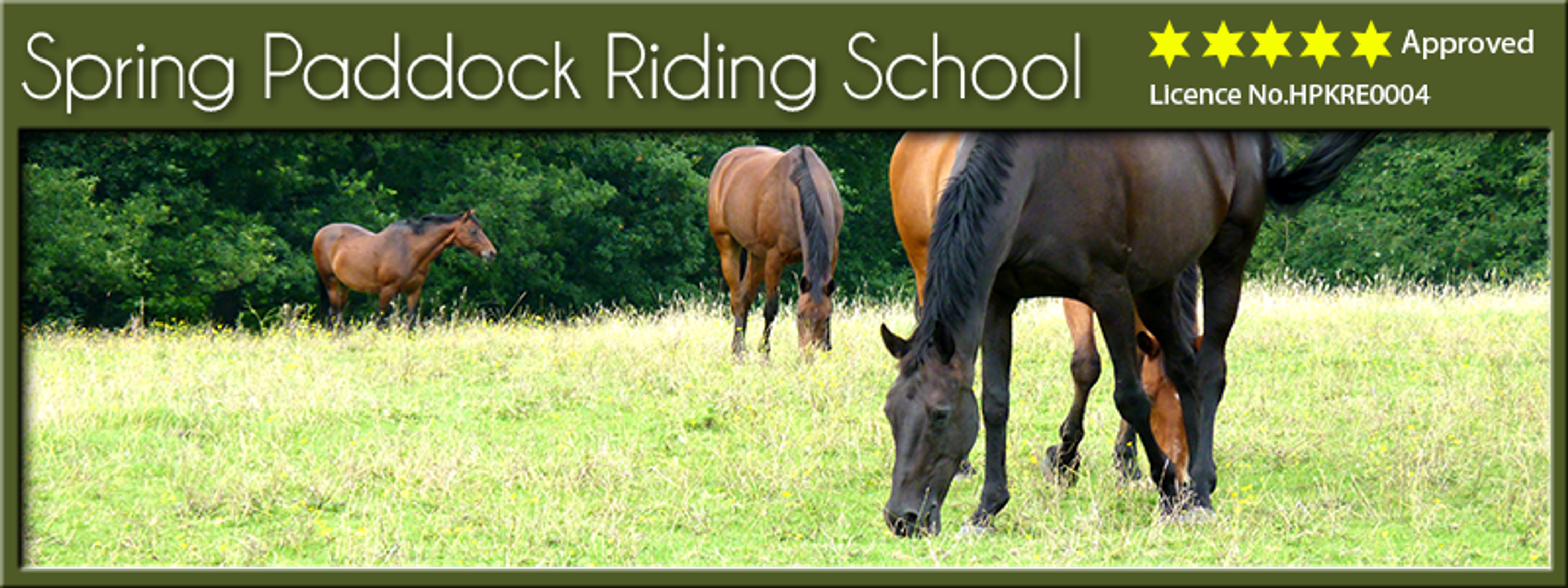 Spring Paddock Riding School