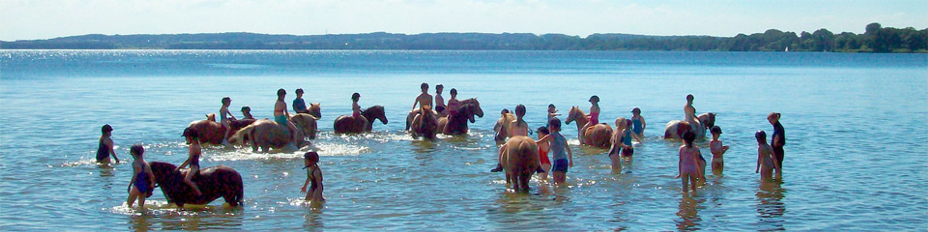 Reitschule - Ponyhof am Wittensee