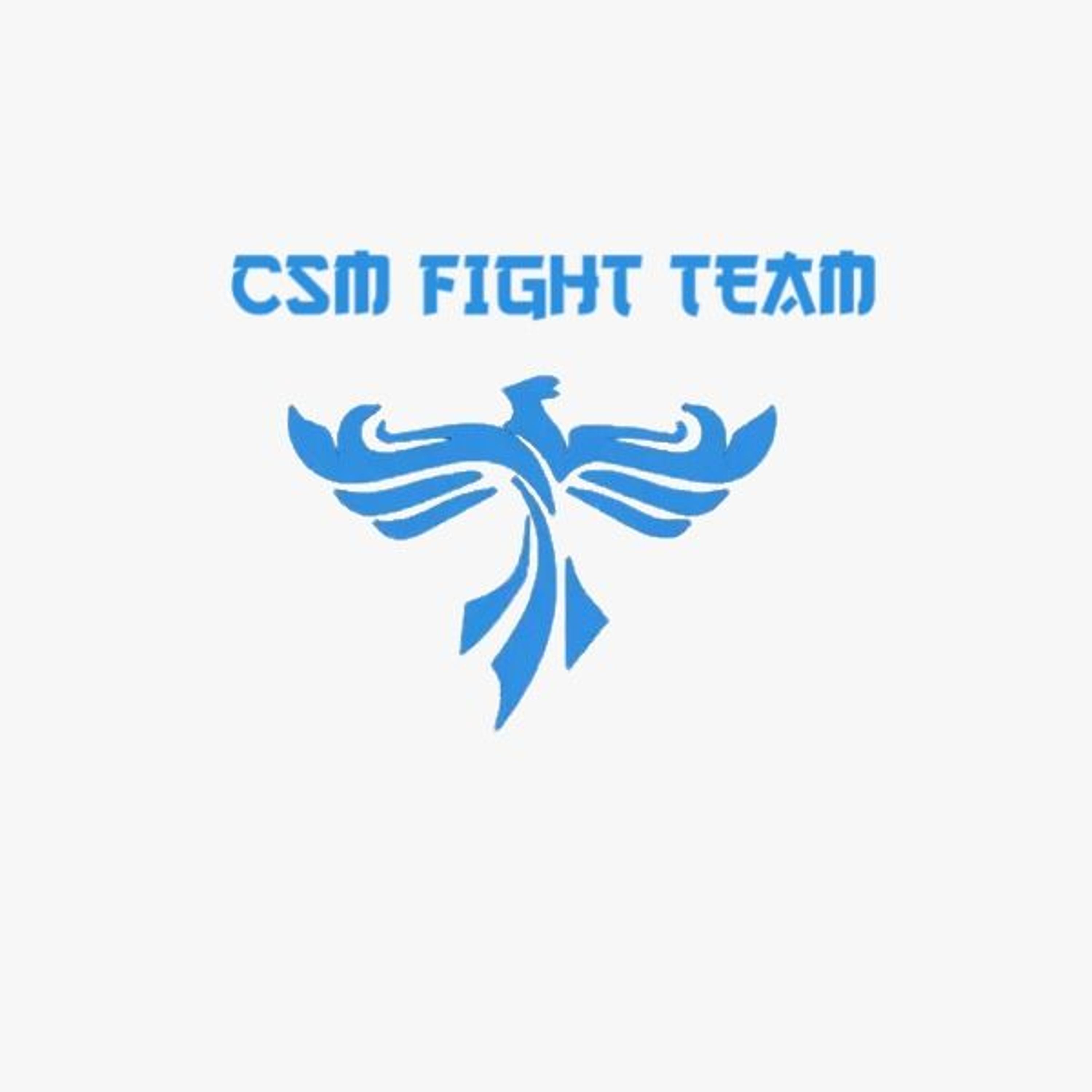 CSM FIGHT TEAM Masters Tournament
