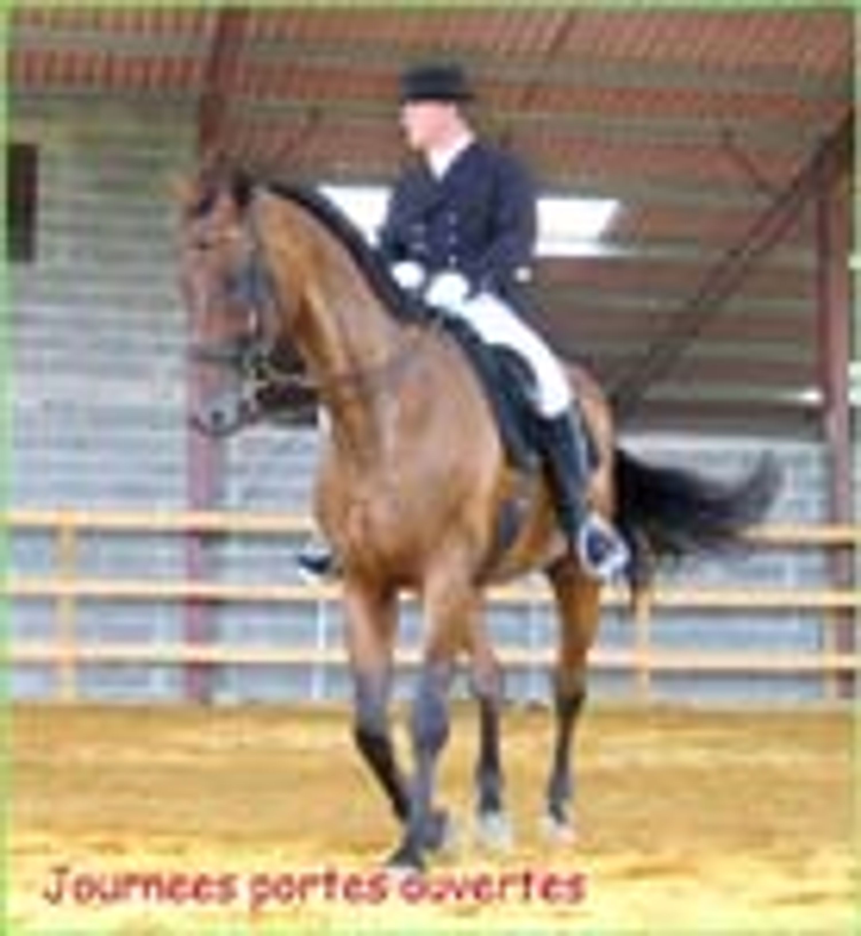 Le Carrousel Aquitain