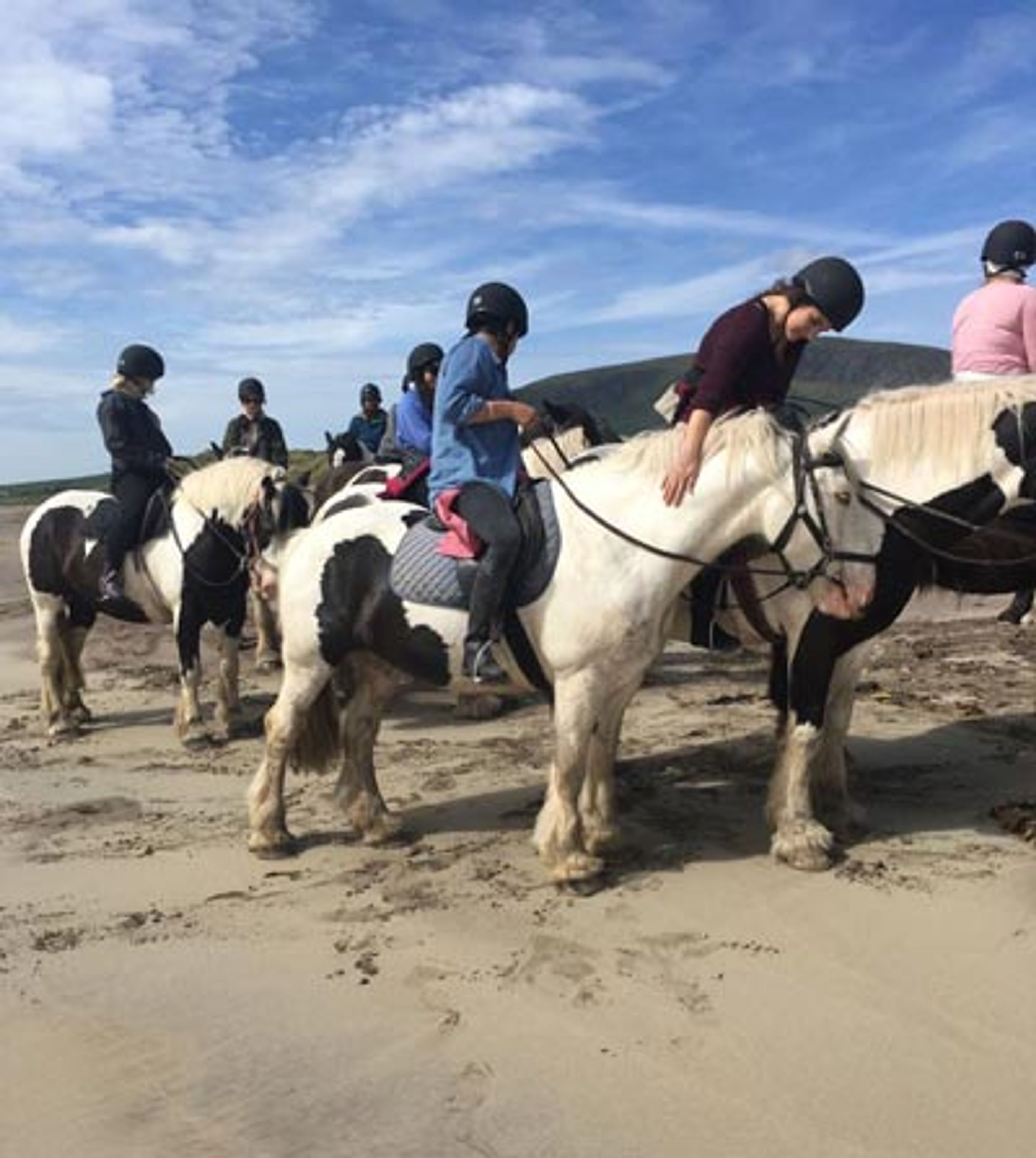 Longs Horse Riding