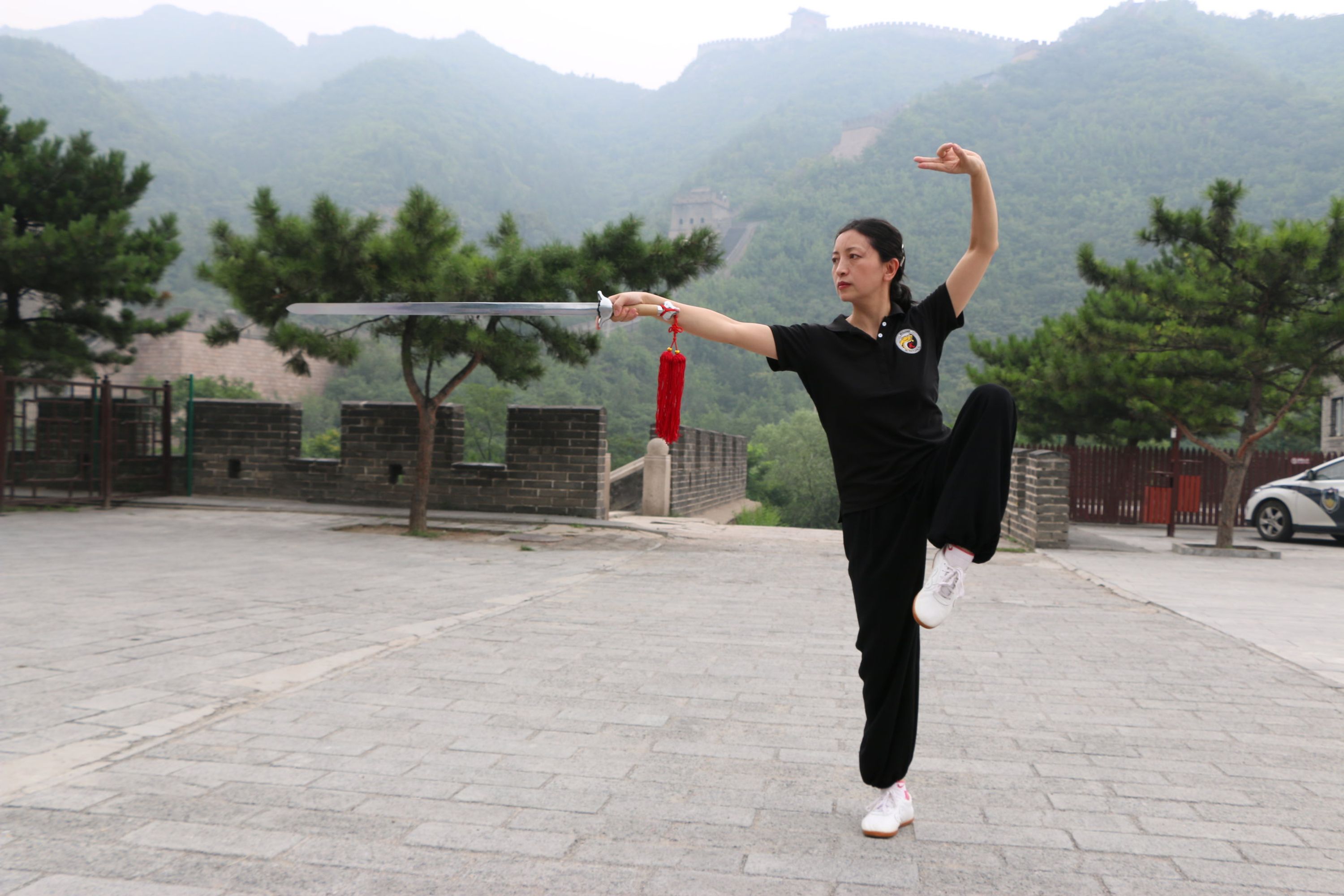 Taichi Sword Workshop
