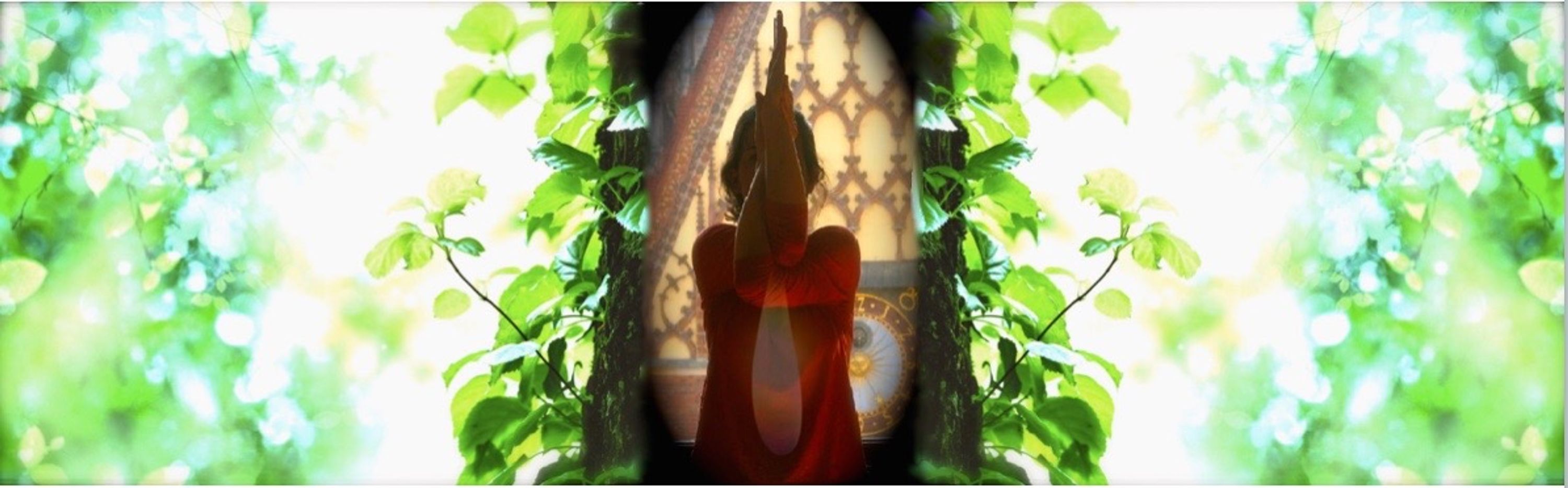 Loudwater Farm Yoga Classes