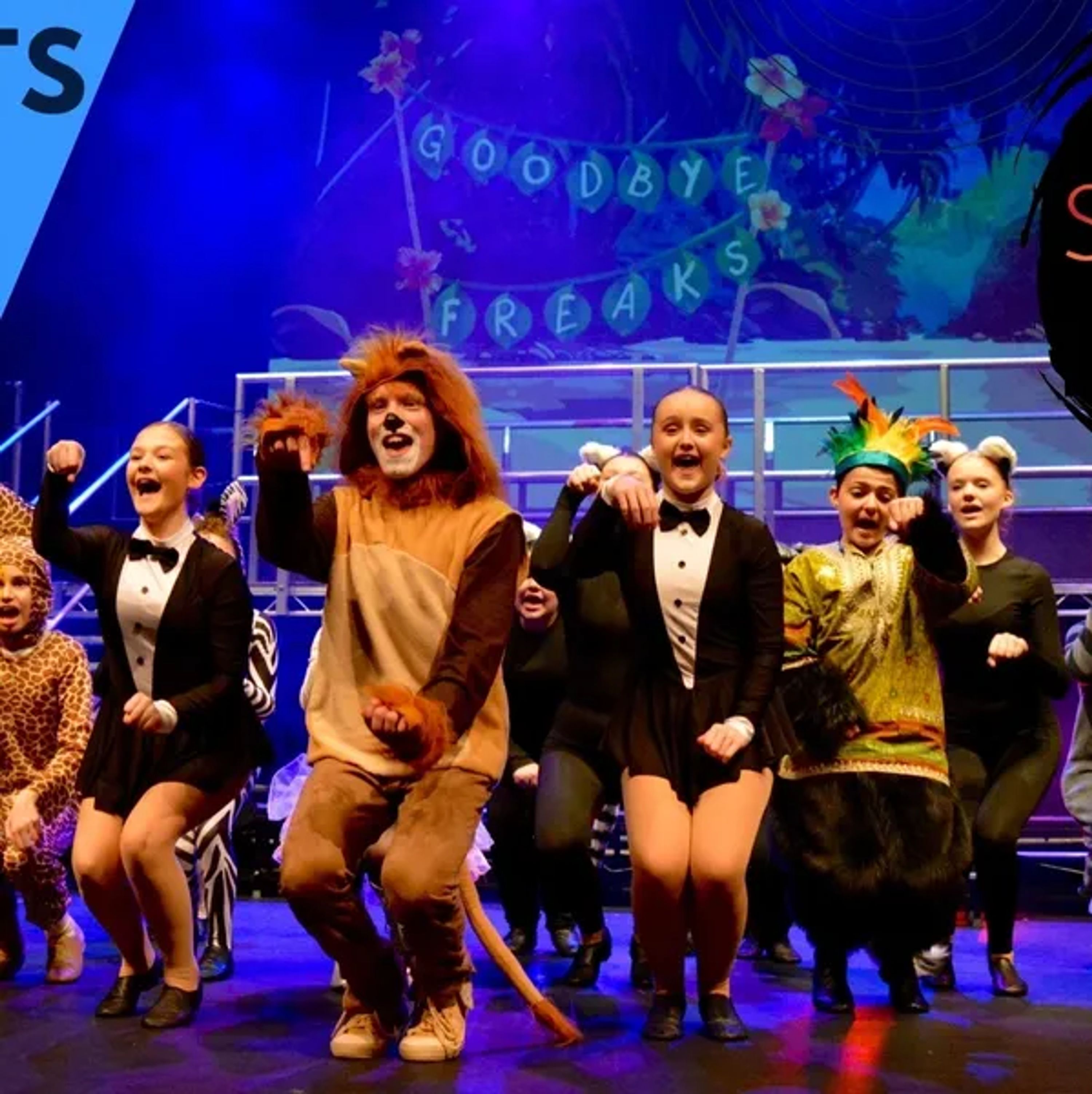 Stage Skool