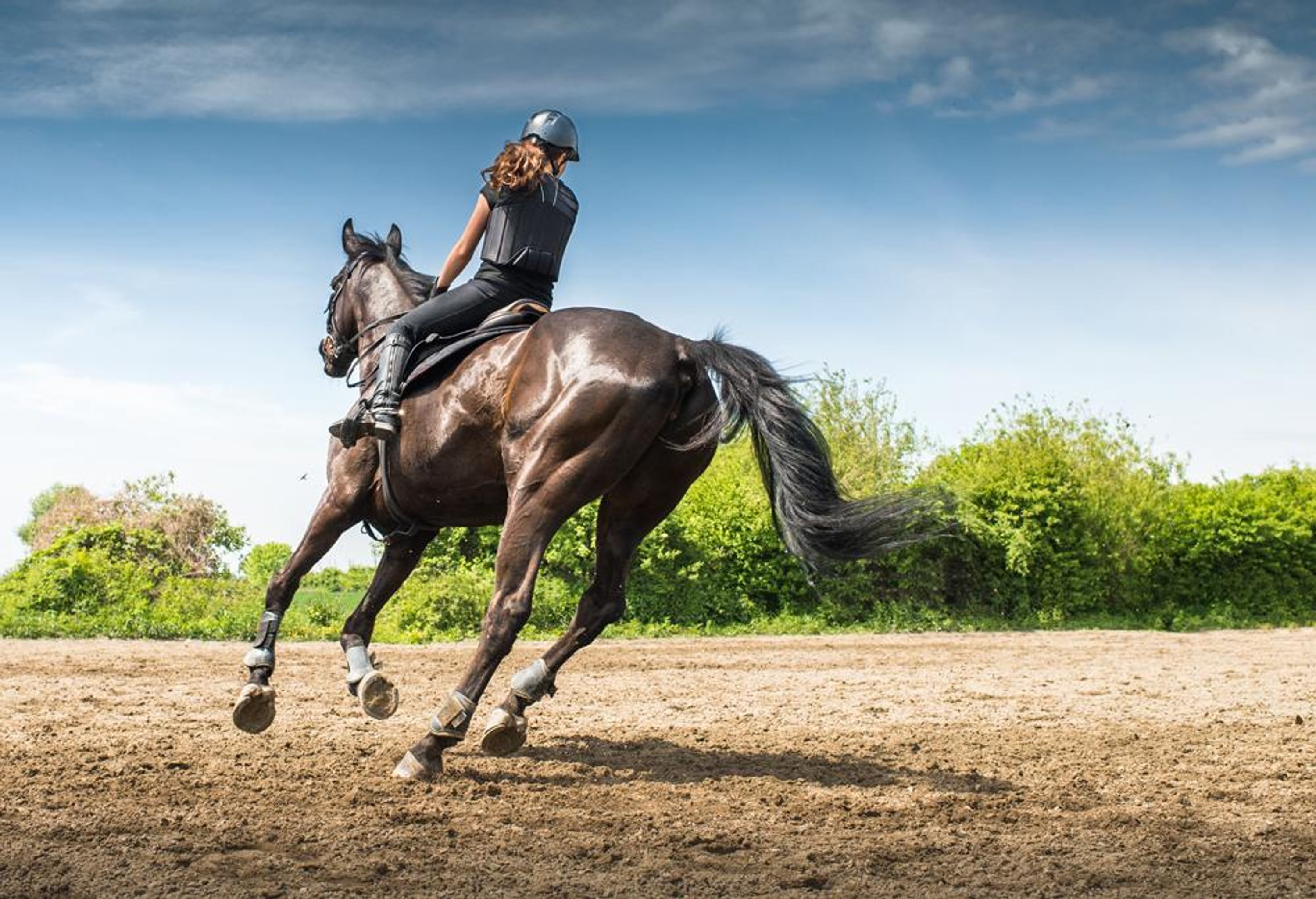 CENTRE EQUESTRE BISCARROSSE LAOUADIE