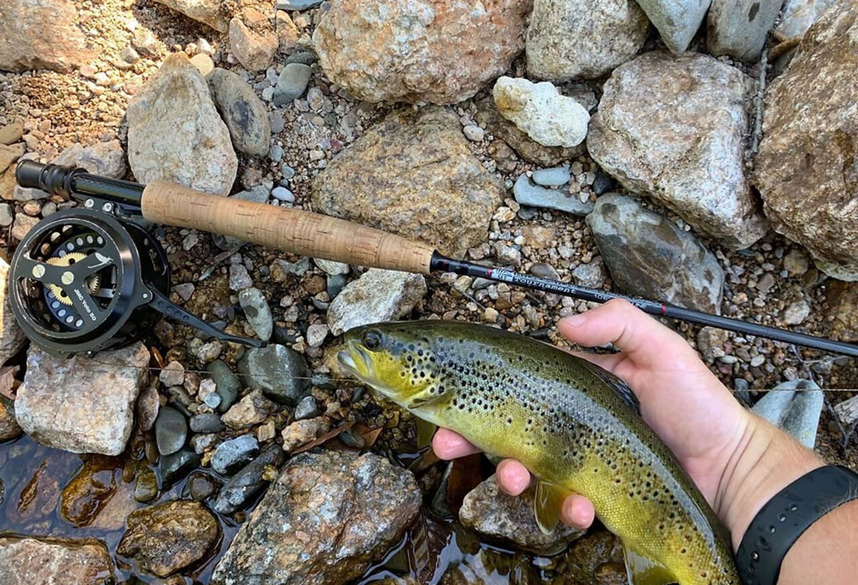 Evasion fly fishing