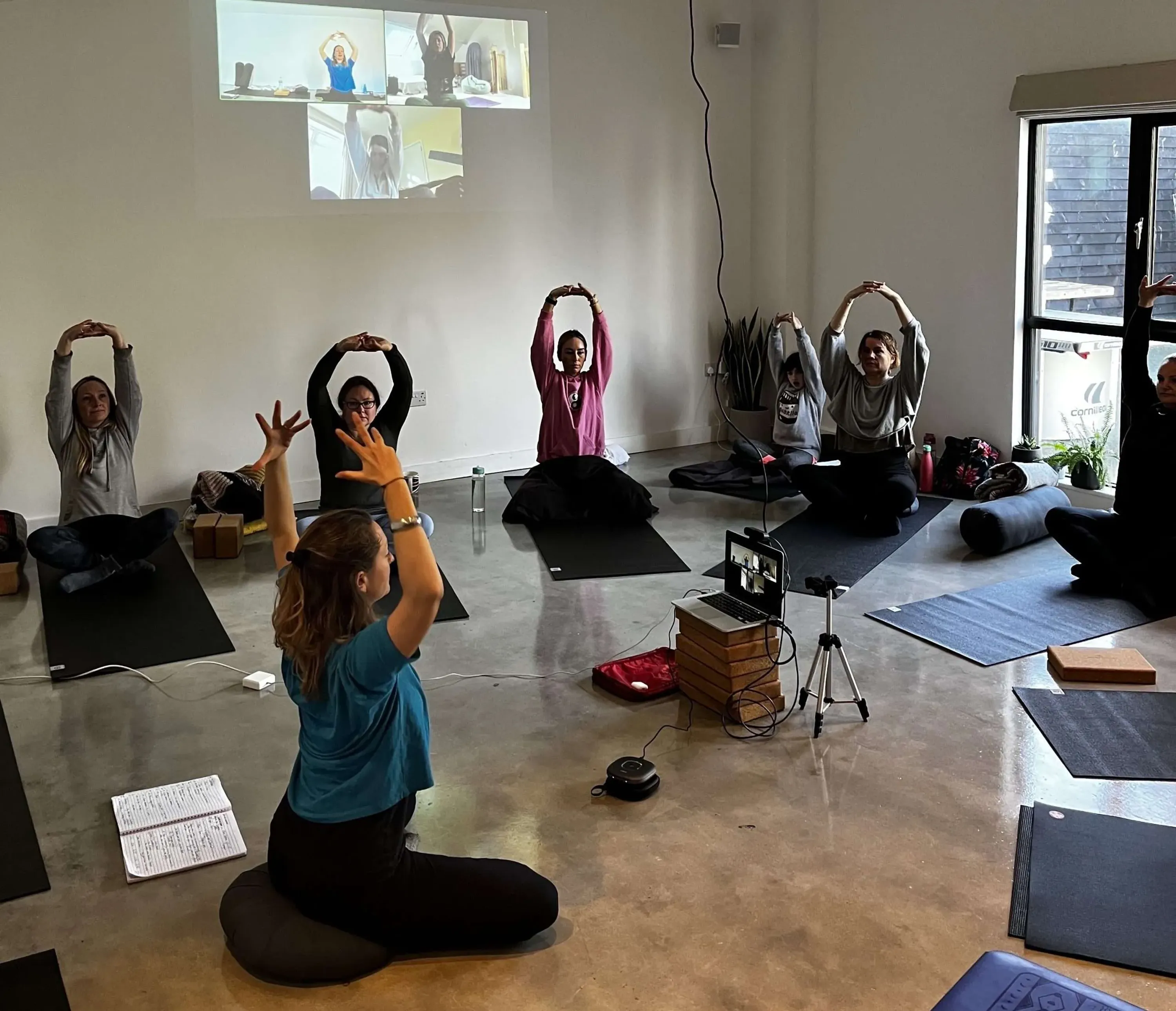 Online Yin-Yoga Teacher Training