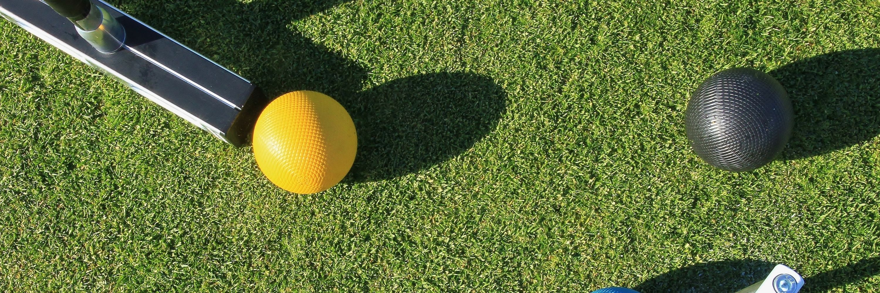 Have a Crack Croquet