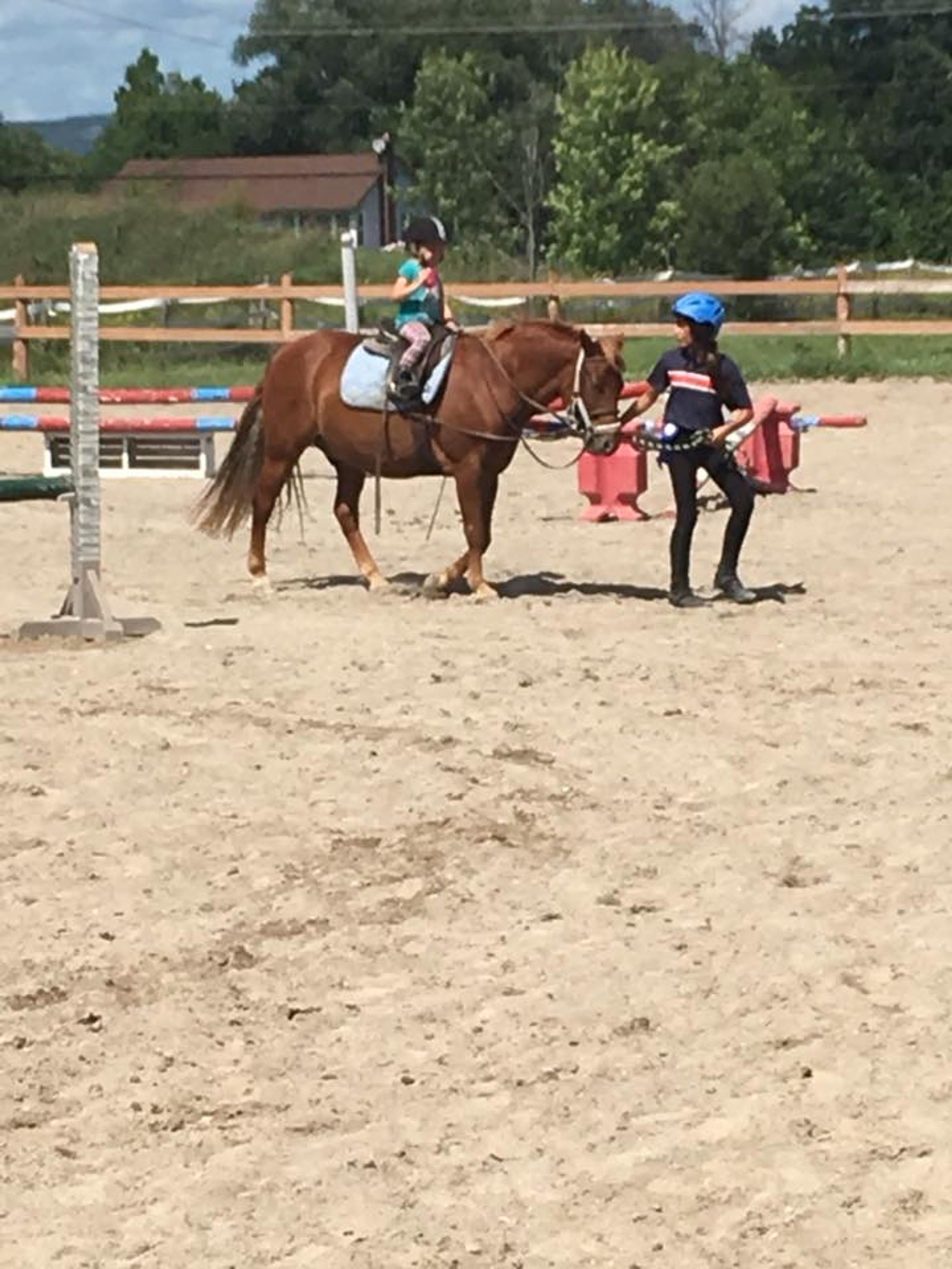 Linsell Farm Camp 2024 Registration