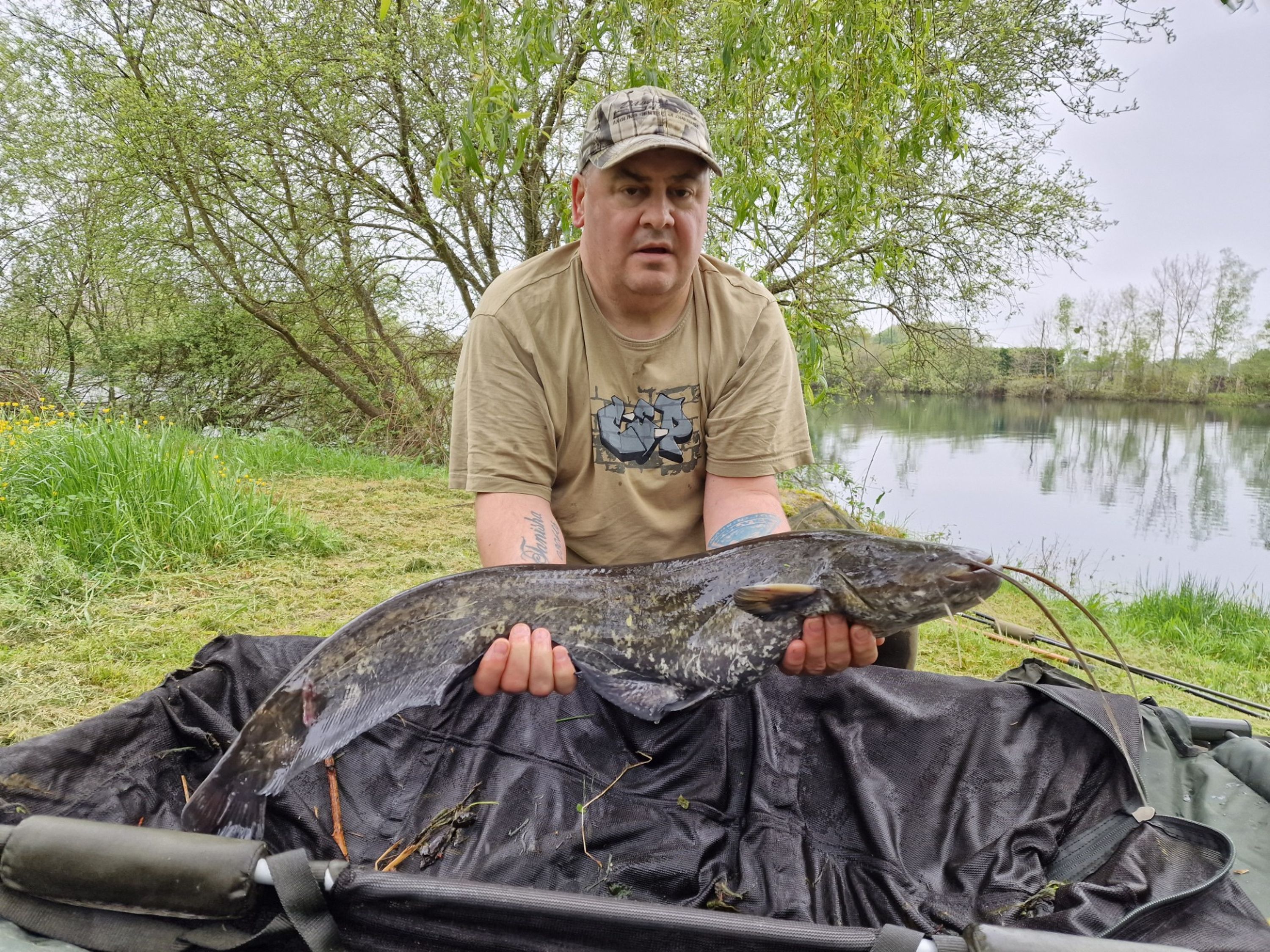 Laroussi Carp Lake